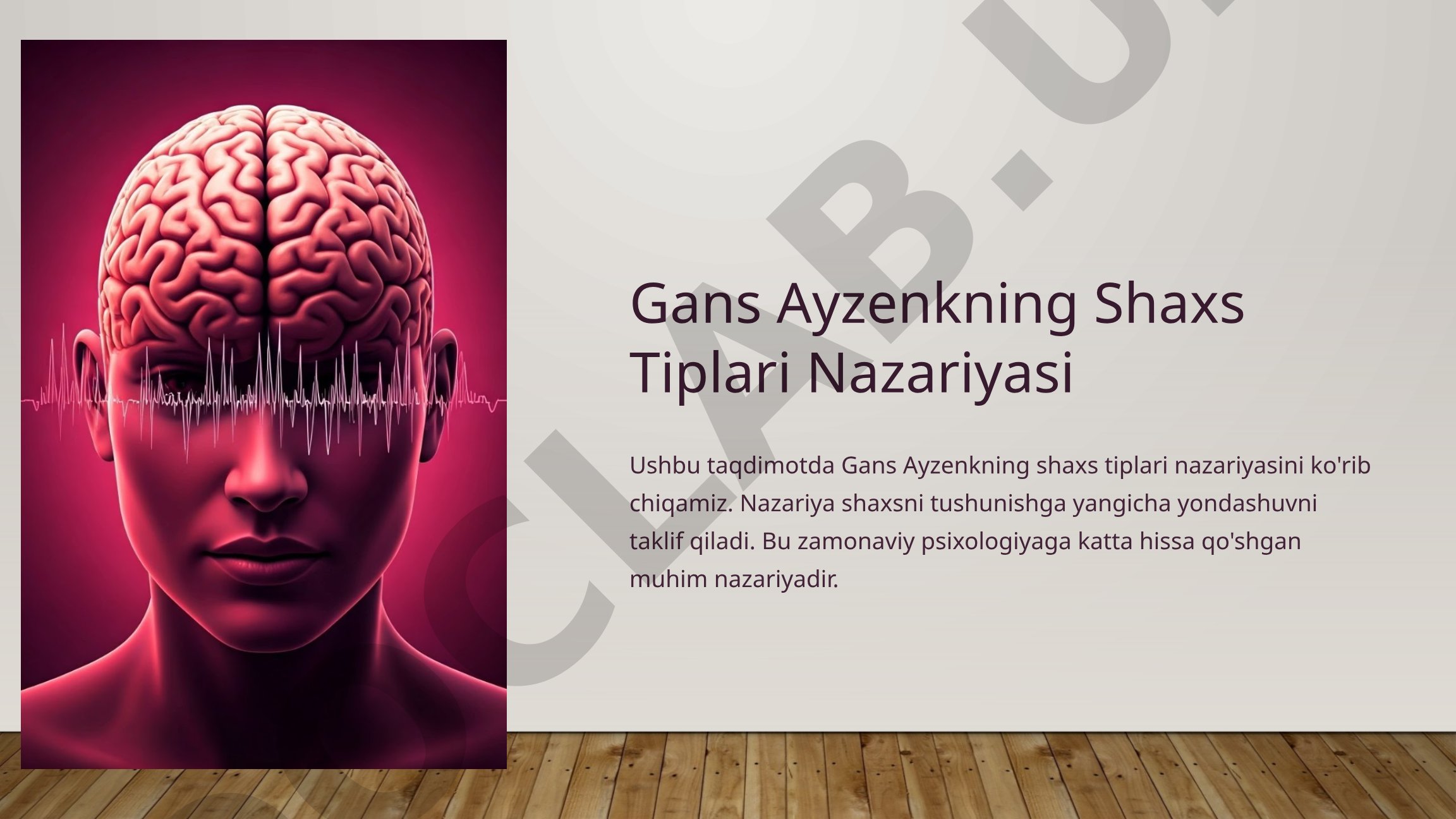 Gans Ayzenkning Shaxs Tiplari Nazariyasi