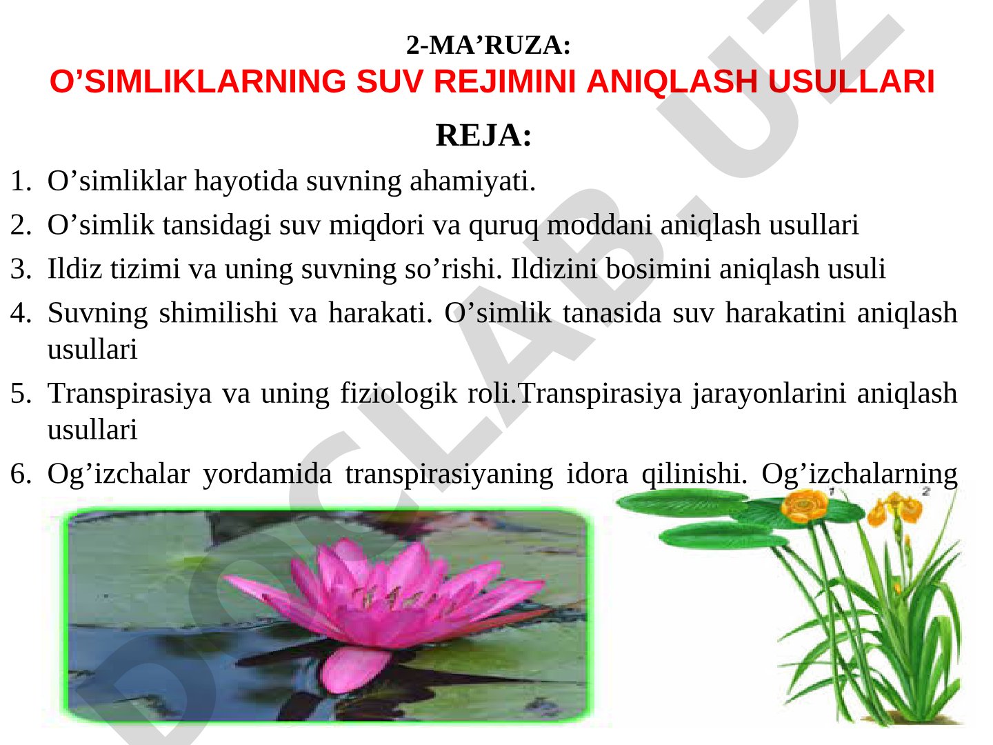 O’simliklarning suv rejimini aniqlash usullari