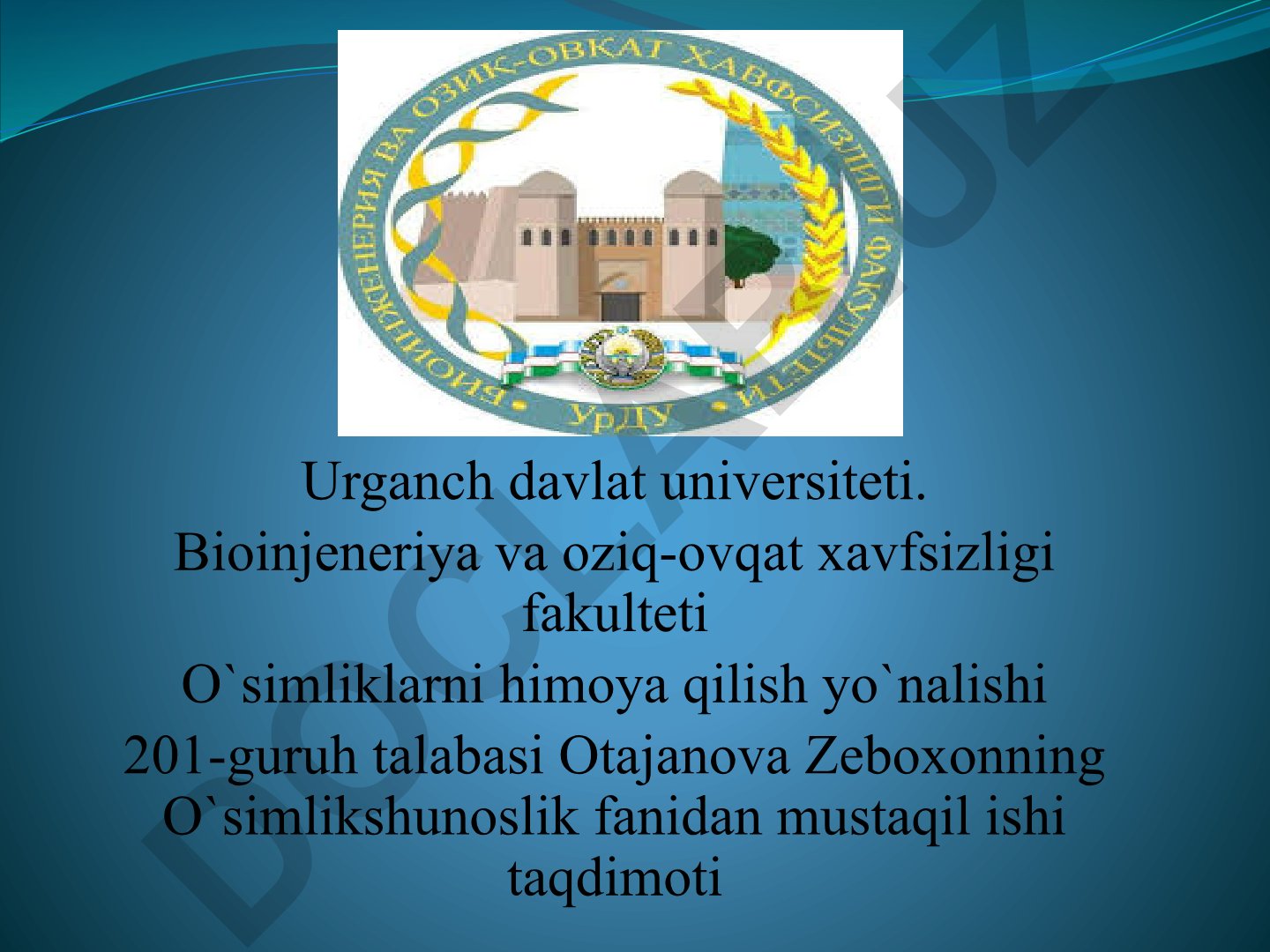 Hashaki lavlagi morfologiyasi, biologiyasi va yetishtirish texnologiyasi