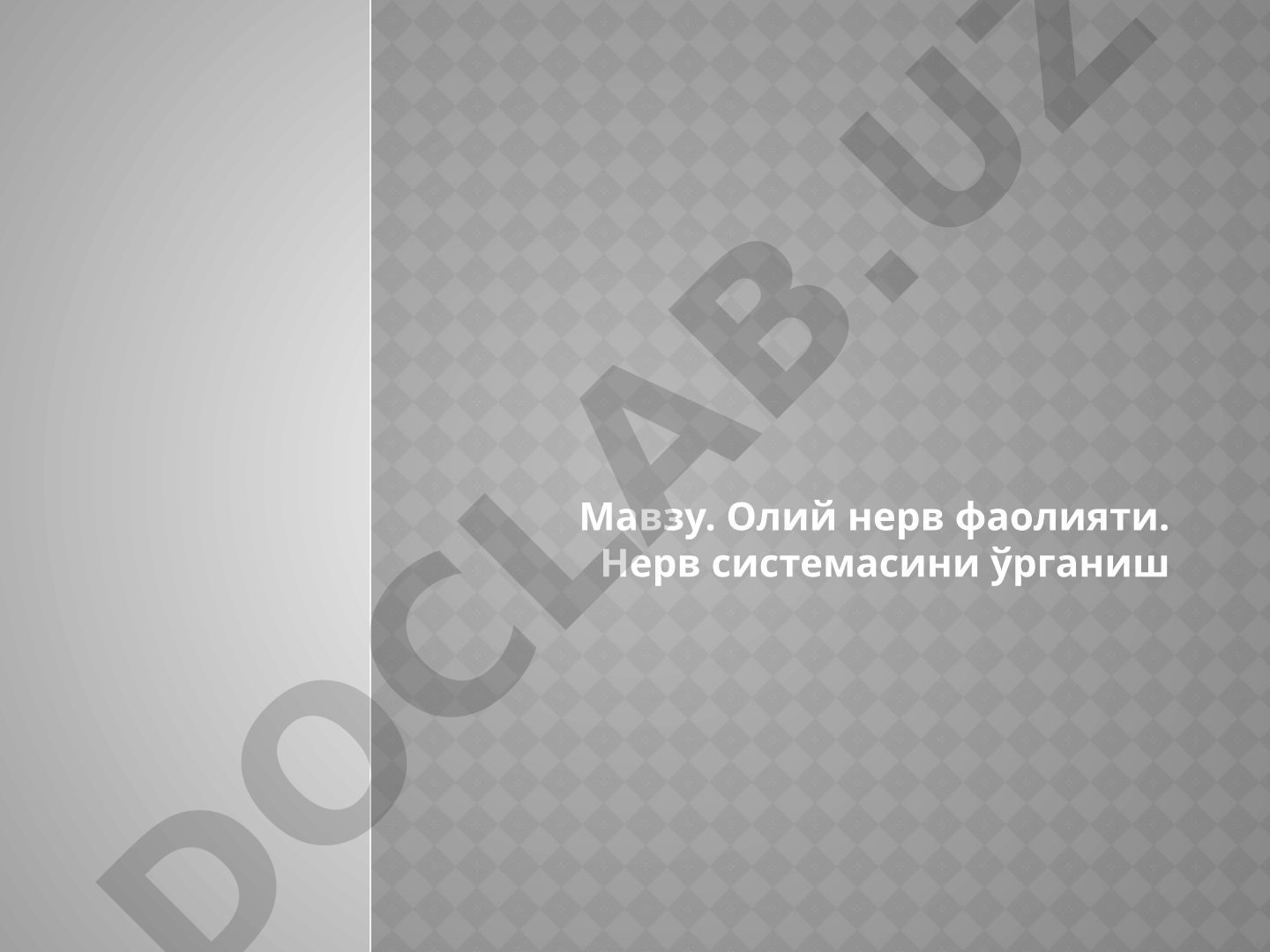 Олий нерв фаолияти. Нерв системасини ўрганиш