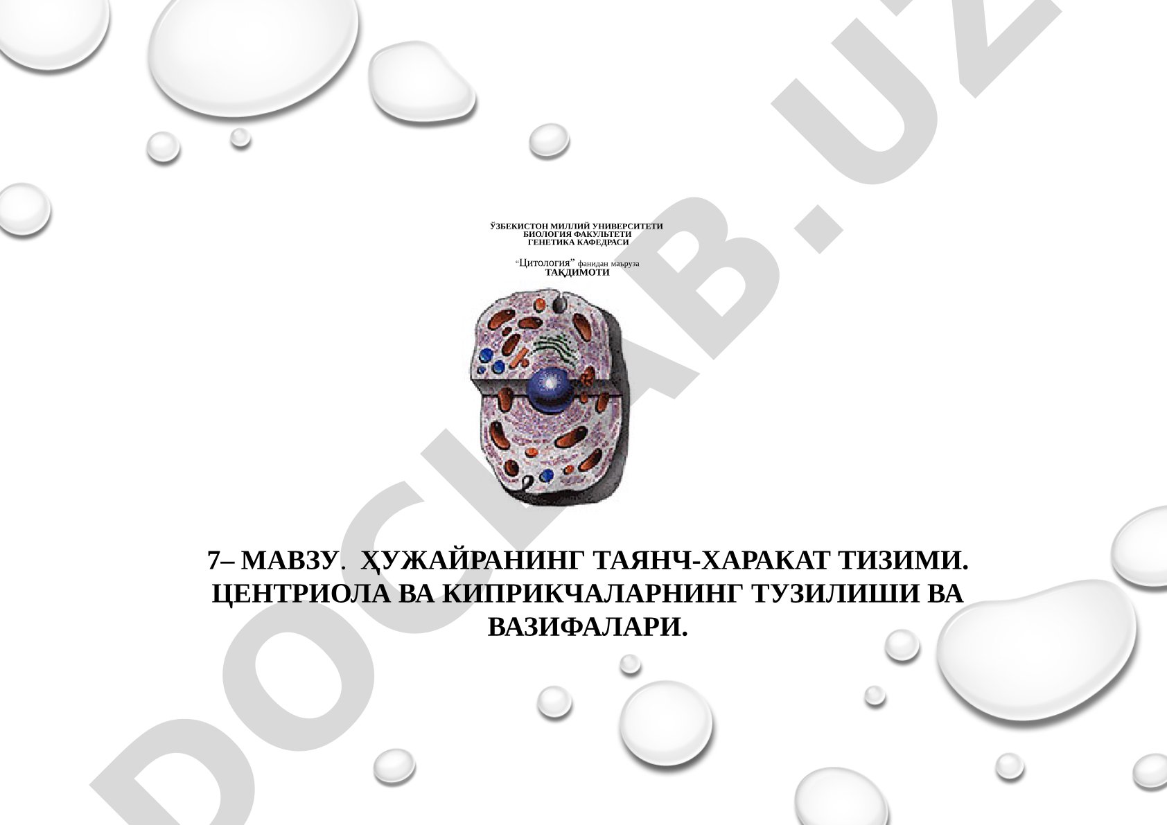 Ҳужайранинг таянч-ҳаракат тизими. Центриола ва киприкчаларнинг тузилиши ва вазифалари
