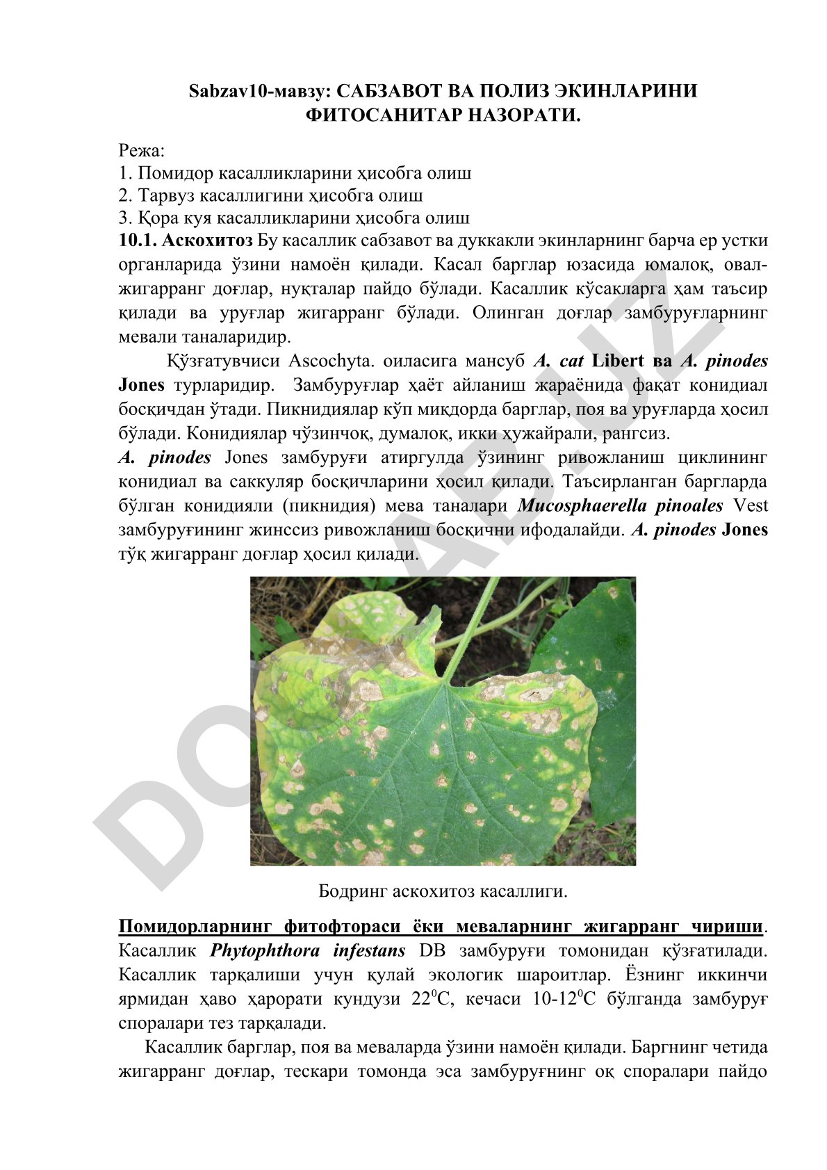 САБЗАВОТ ВА ПОЛИЗ ЭКИНЛАРИНИ ФИТОСАНИТАР НАЗОРАТИ