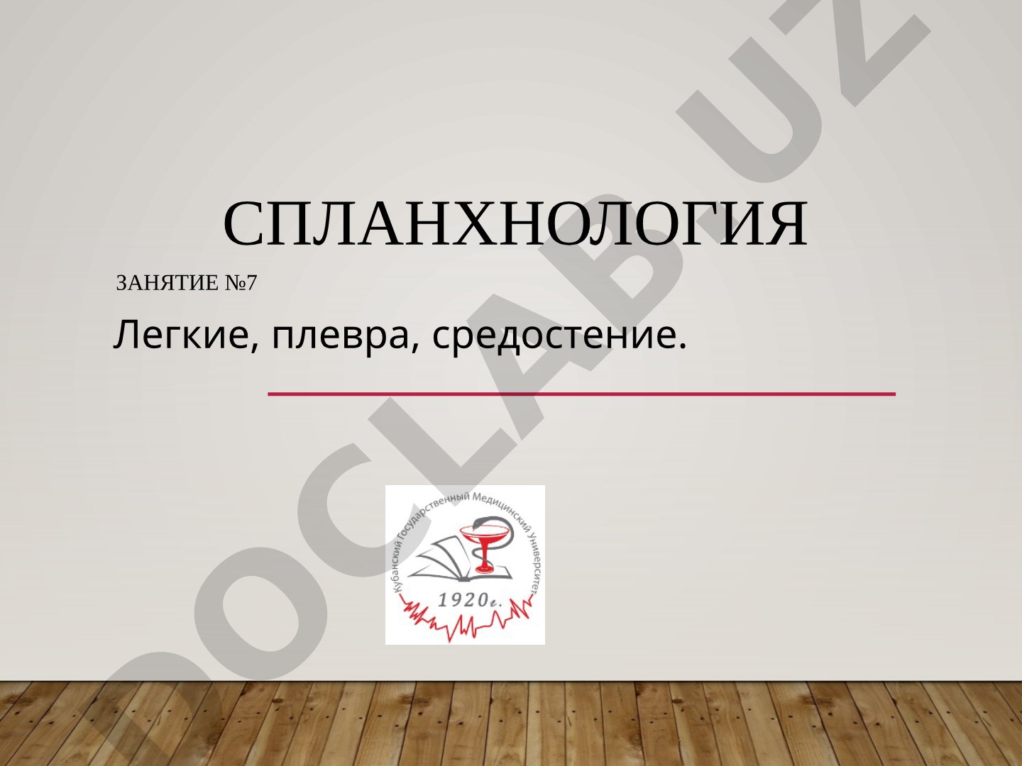 спланхнология Занятие №7 Легкие, плевра, средостение