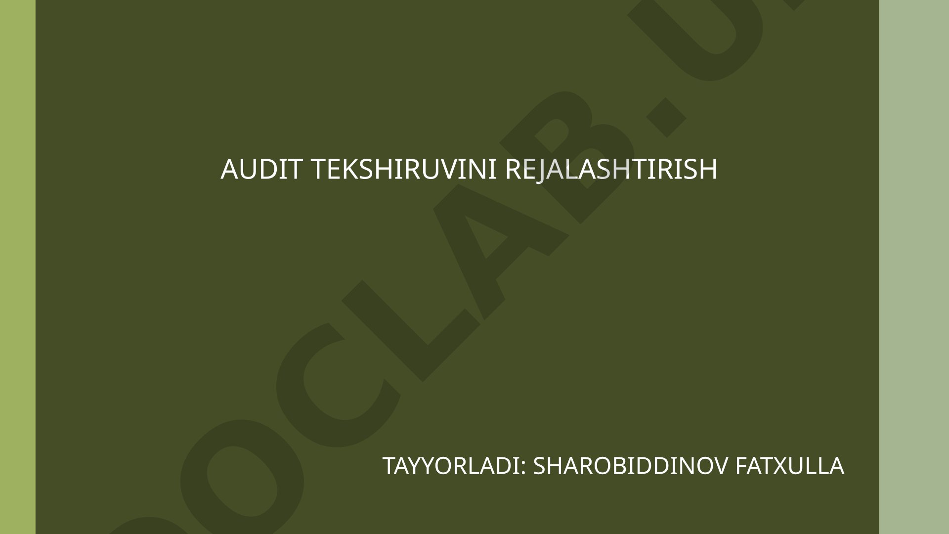 Audit tekshiruvini rejalashtirish