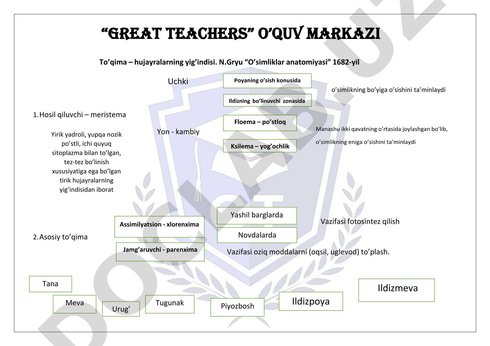 O'simlik to'qimalari turlari va vazifalari