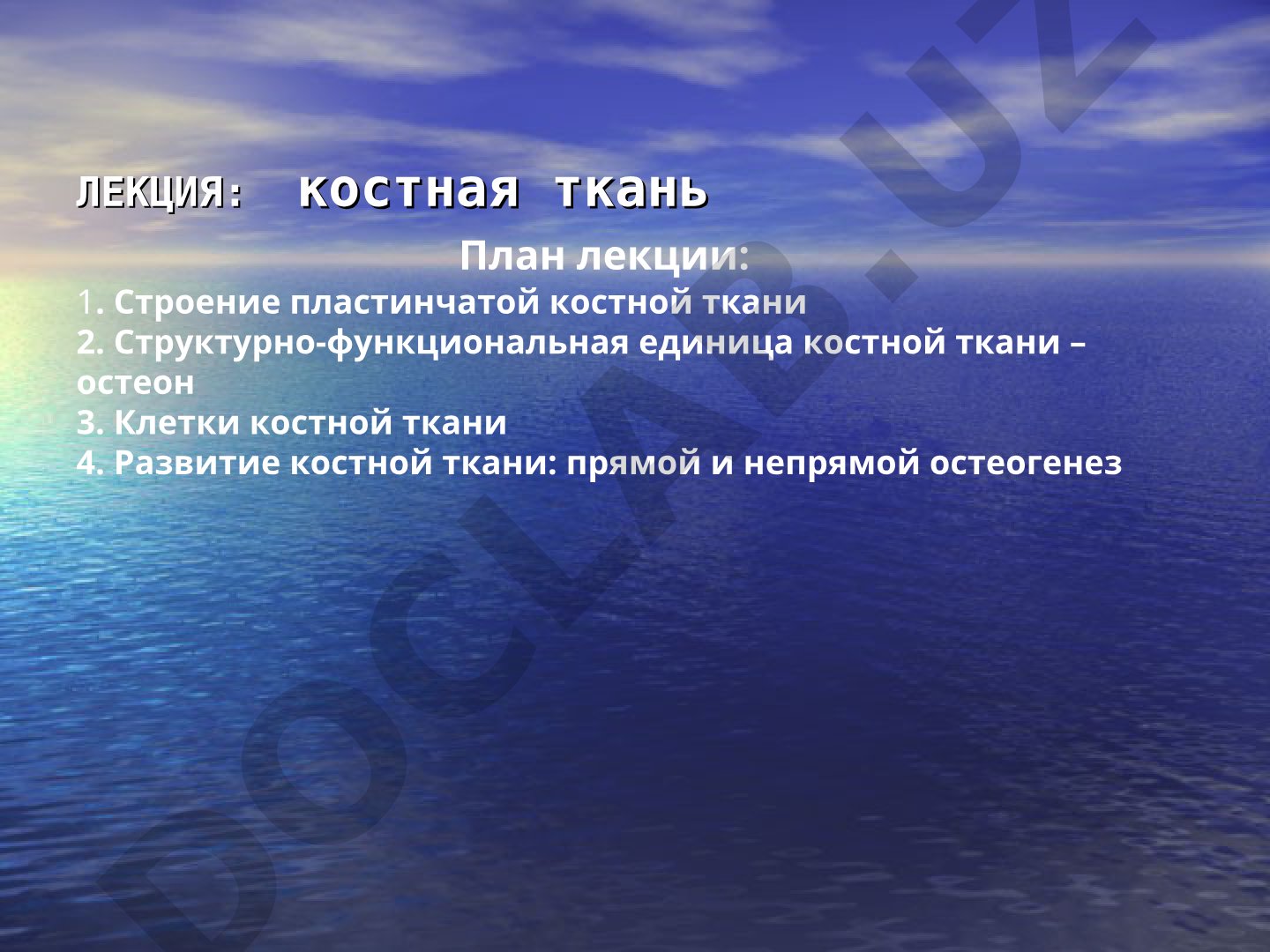 Костная ткань: строение, остеон, клетки, остеогенез