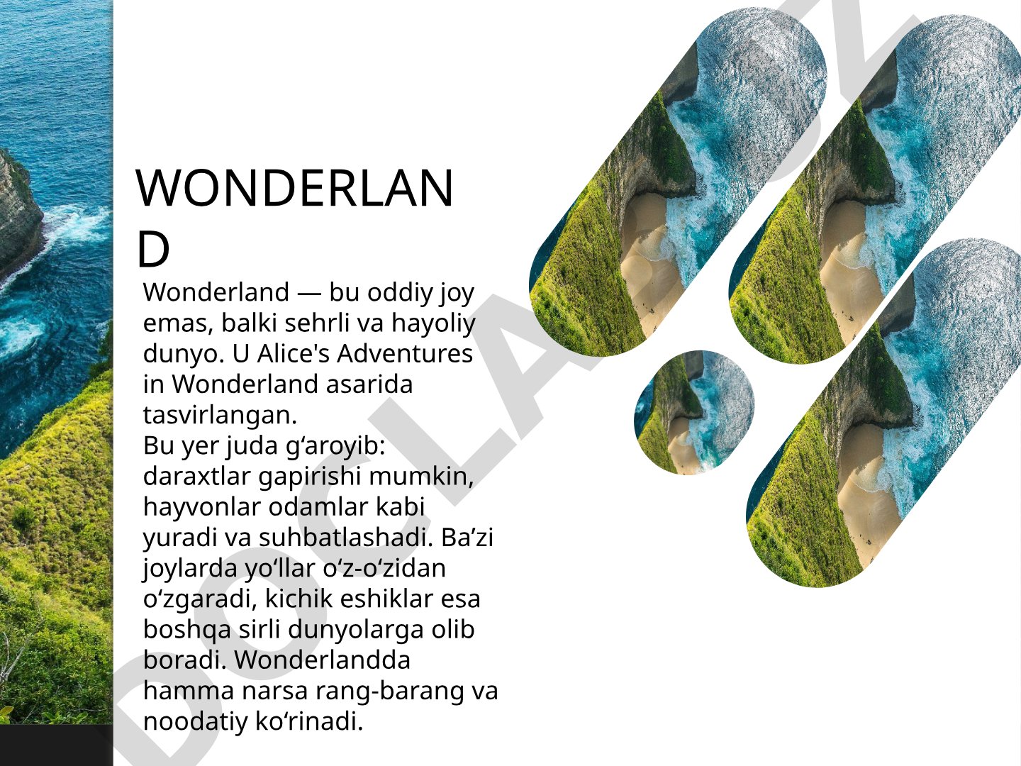 Wonderland — g'ayrioddiy va sehrli dunyo, Alisa mo''jizalar mamlakatidagi joylar haqida