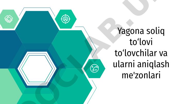 Yagona soliq to'lovchilar va ularni aniqlash me'zonlari