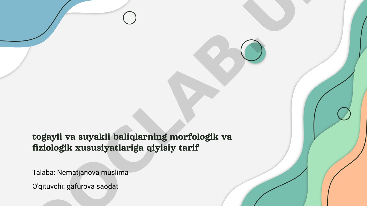 Togayli va suyakli baliqlarning morfologik va fiziologik xususiyatlari