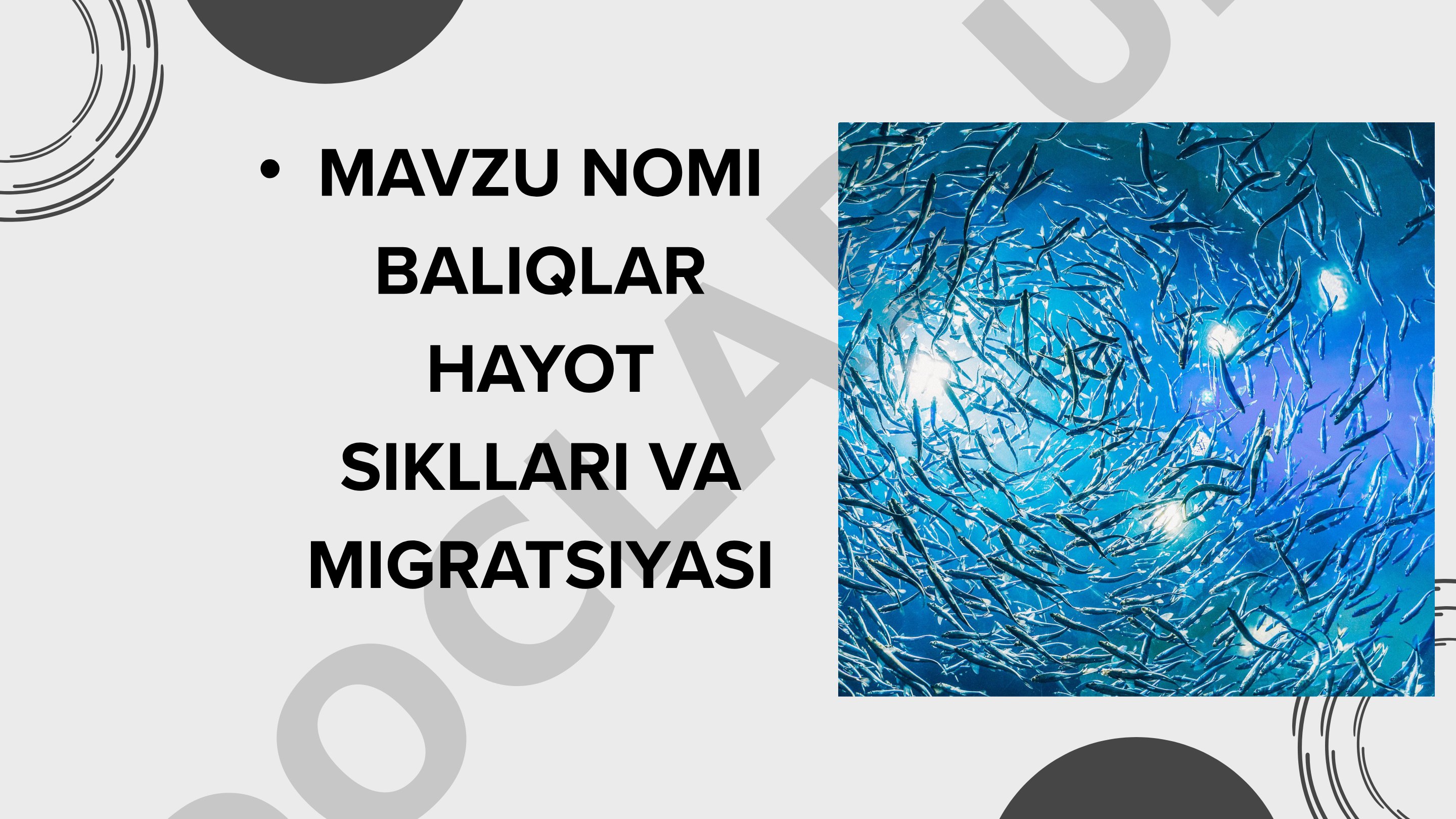 Baliqlar hayot sikllari va migratsiyasi