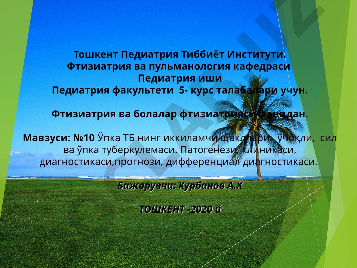 Ўпка туберкулёзининг иккиламчи шакллари: ўчоқли, сил ва ўпка туберкулемаси