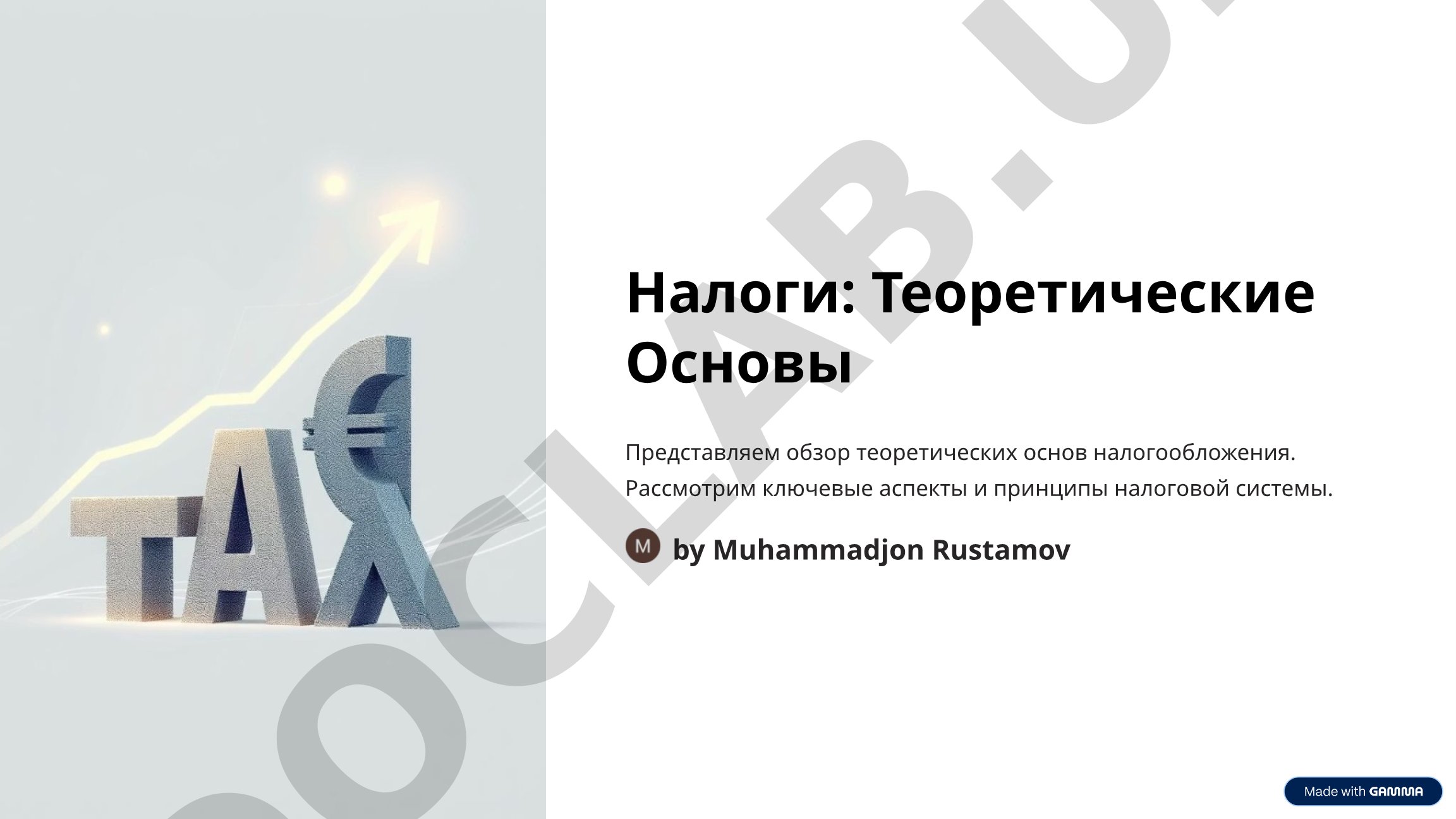Обзор теоретических основ налогообложения: понятие налога, функции, виды и элементы