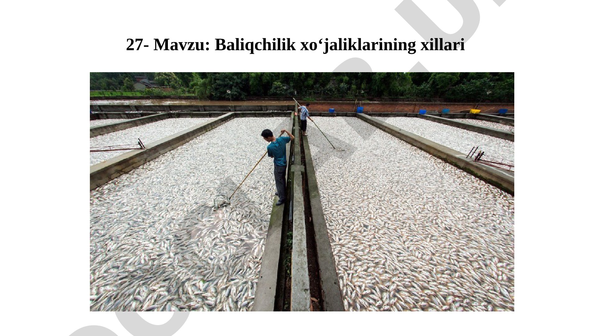 Baliqchilik xo'jaliklarining xillari