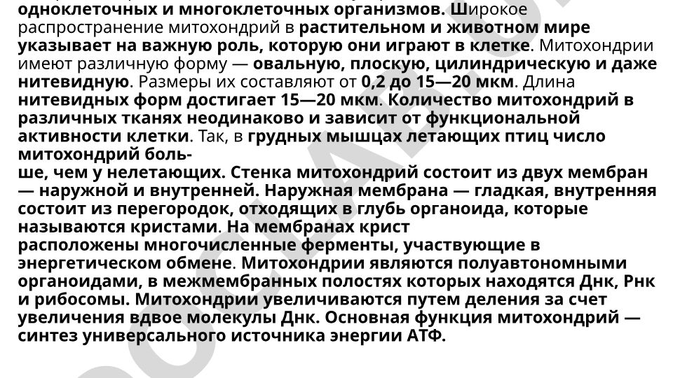 Митохондрии, пластиды, лизосомы и другие органоиды цитоплазмы