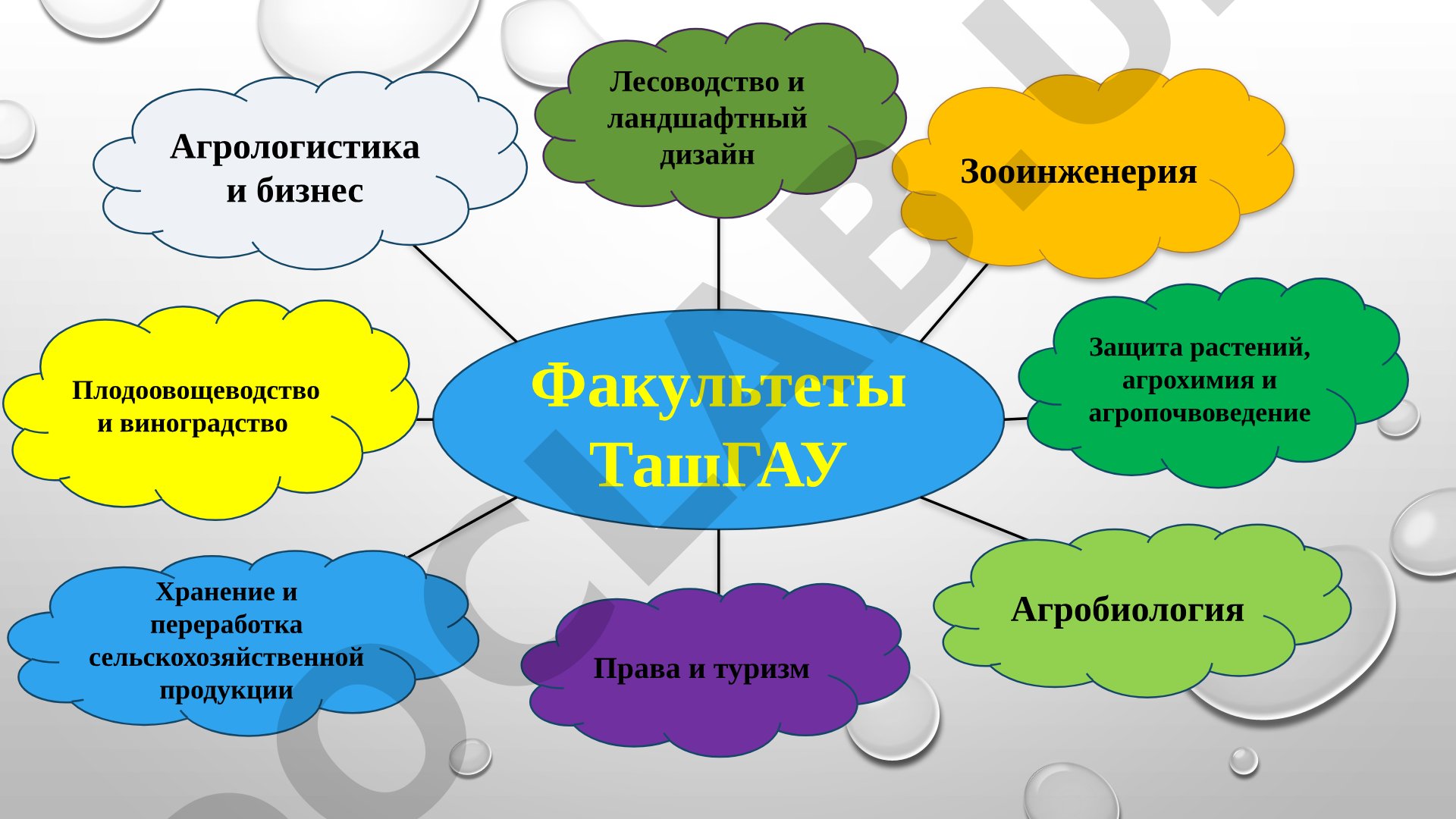 Факультеты ТашГАУ