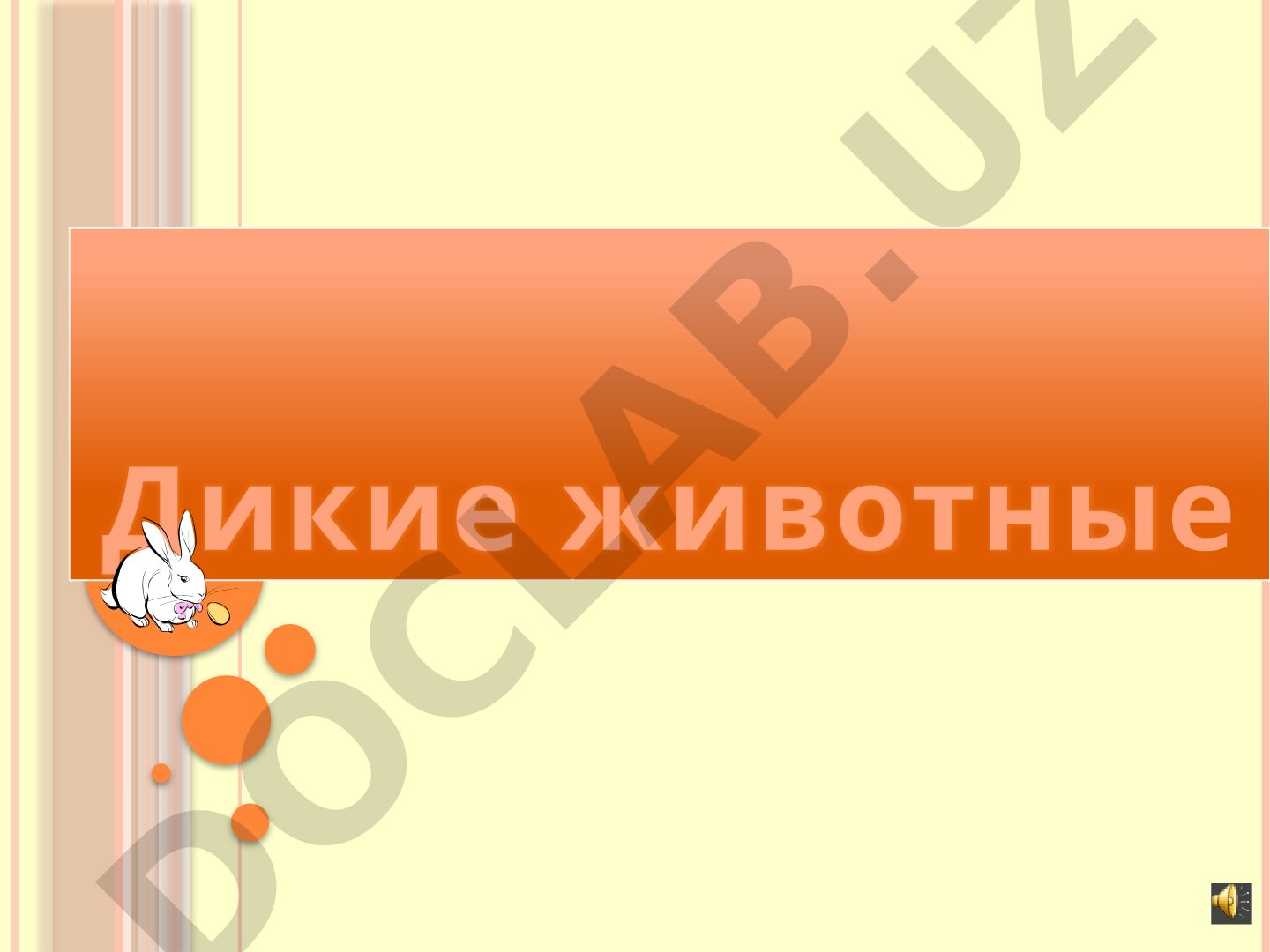 Дикие животные