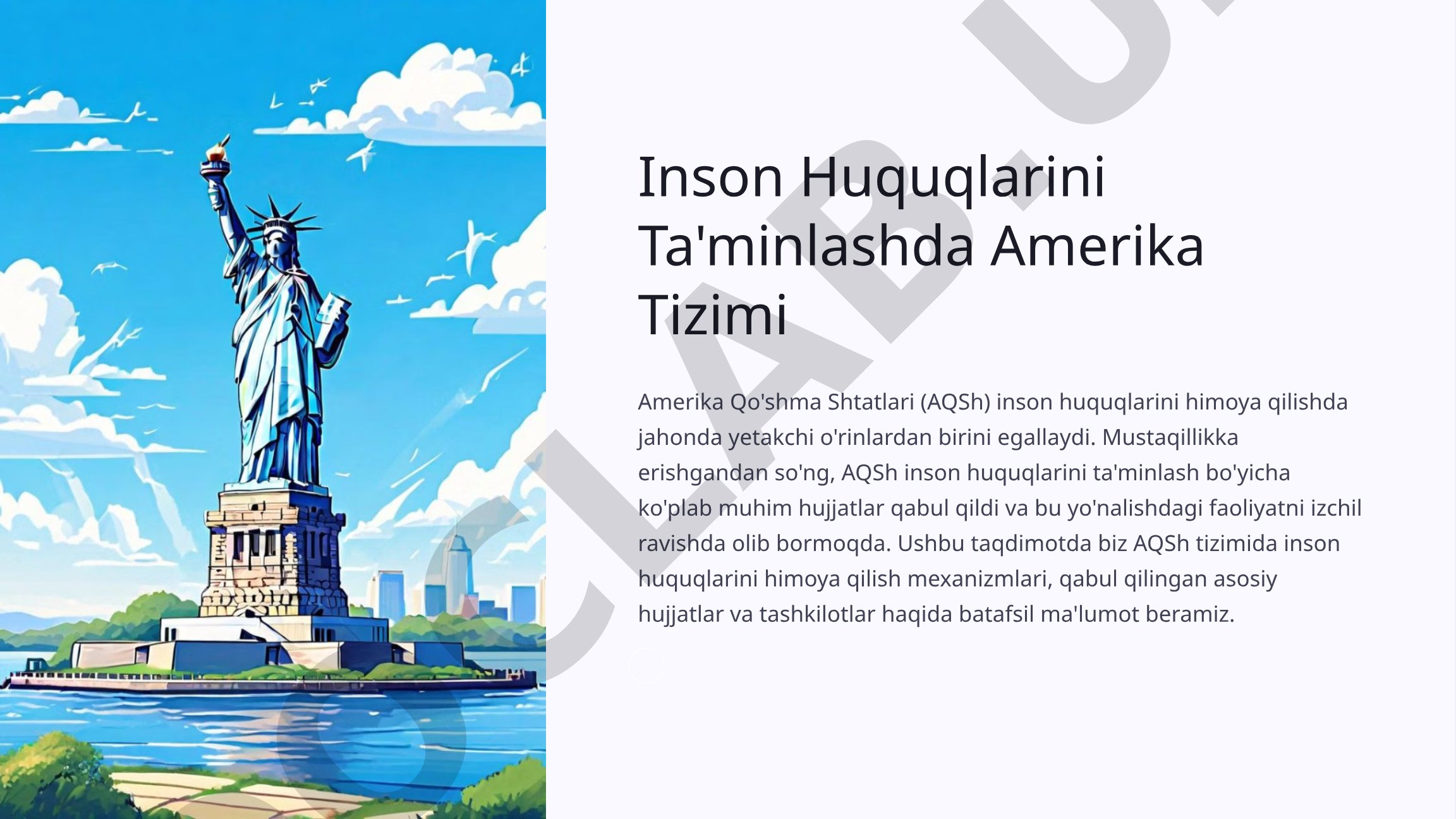 Inson Huquqlarini Ta'minlashda Amerika Tizimi