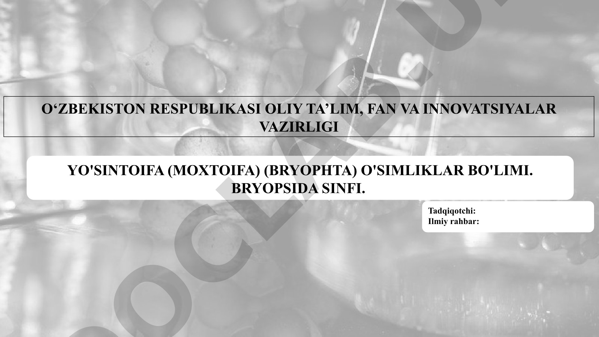 Yo'sintoifa (Moxtoifa) (Bryophta) o'simliklar bo'limi. Bryopsida sinfi.