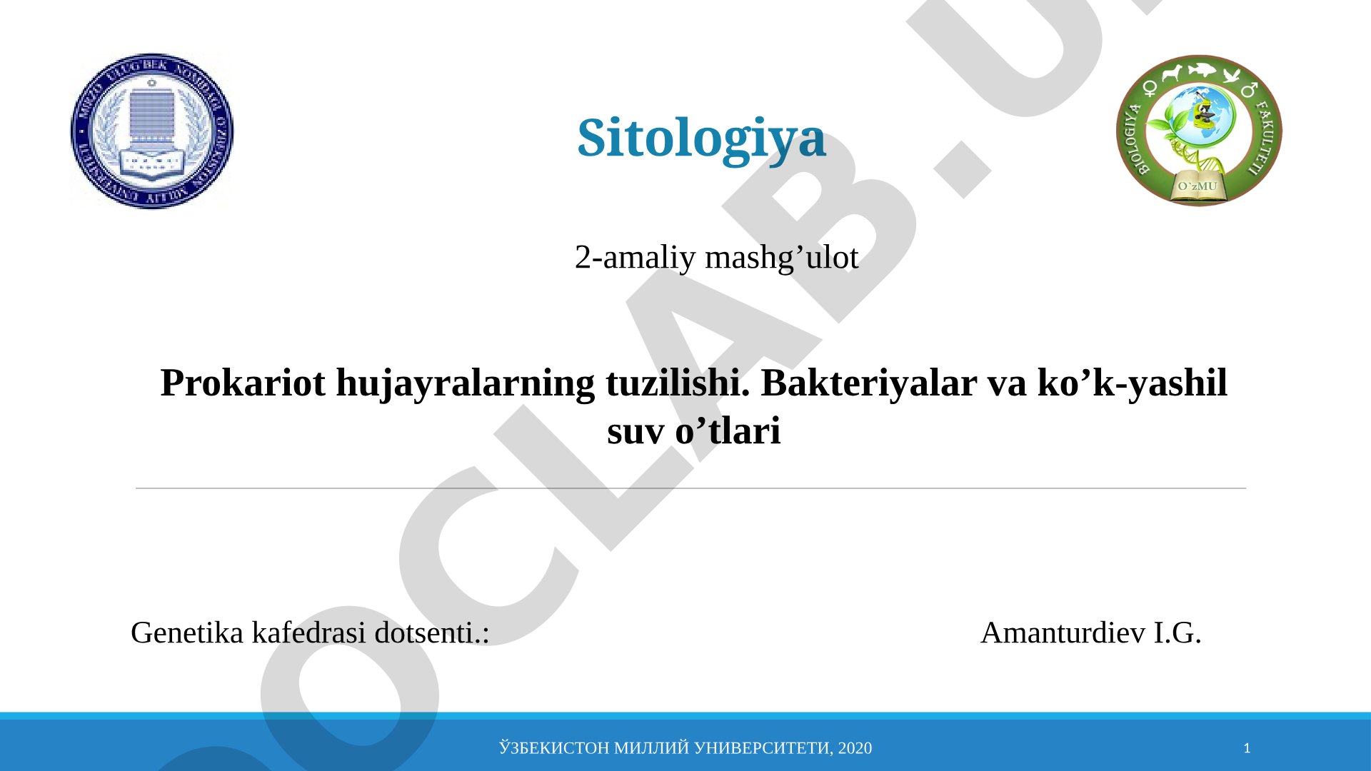 Prokariot hujayralarning tuzilishi