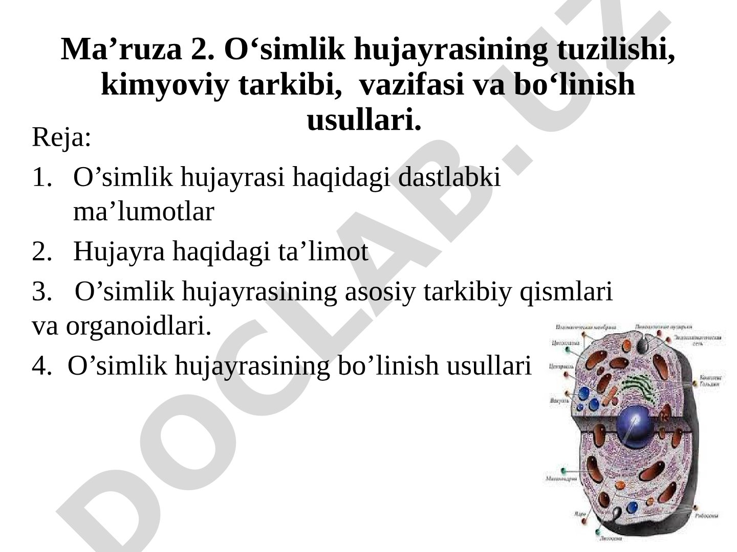O‘simlik hujayrasining tuzilishi, kimyoviy tarkibi, vazifasi va bo‘linish usullari