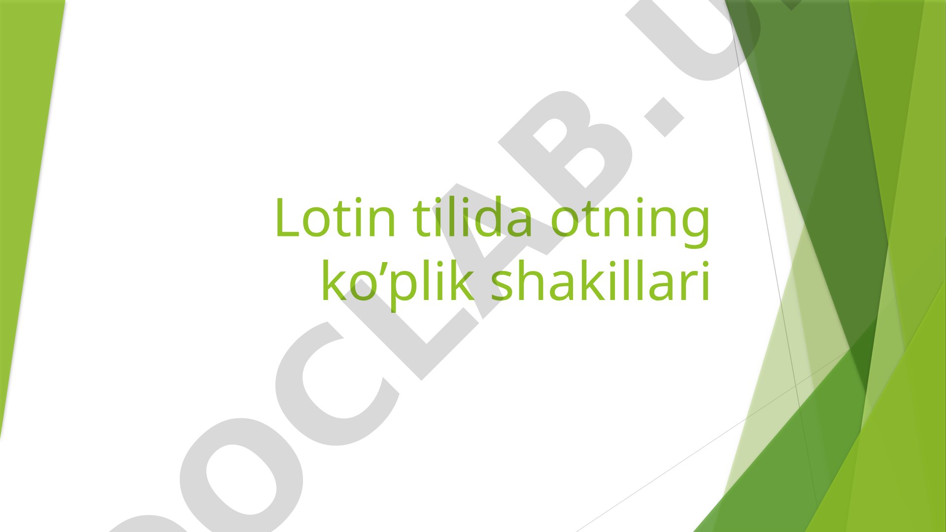 Lotin tilida otning ko’plik shakillari