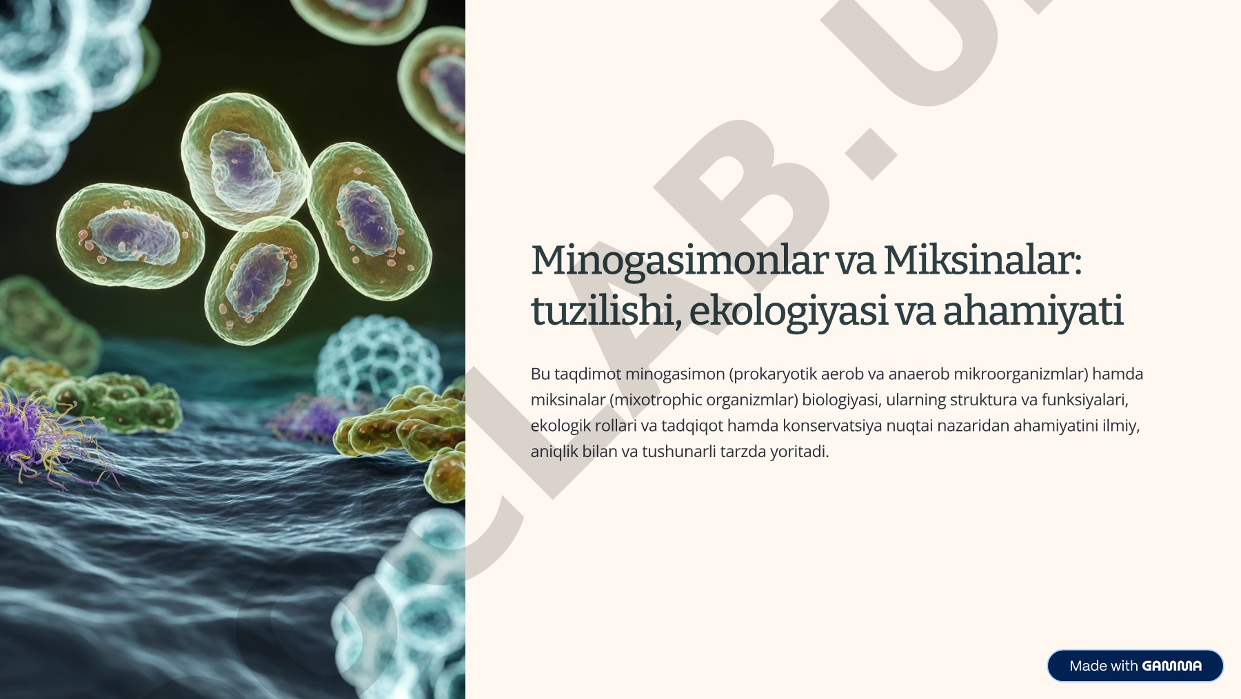 Minogasimonlar va Miksinalar: tuzilishi, ekologiyasi va ahamiyati