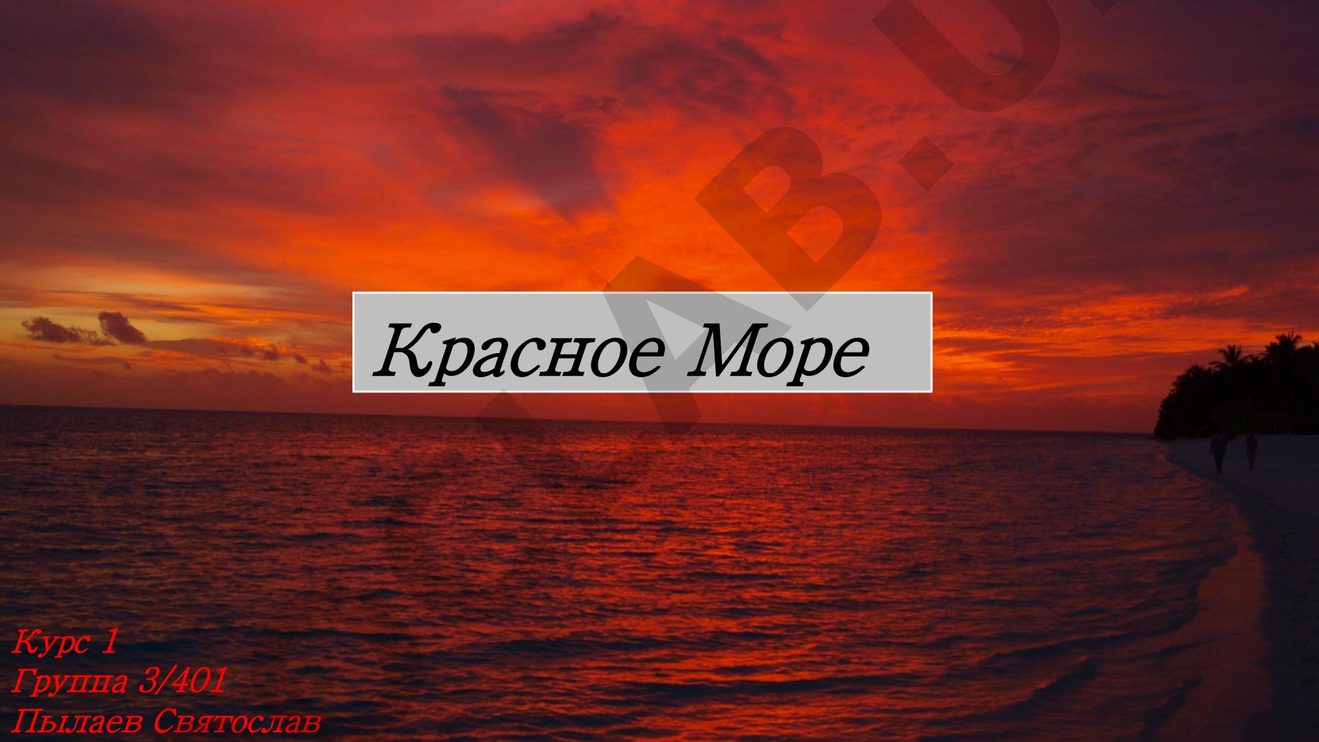Красное Море