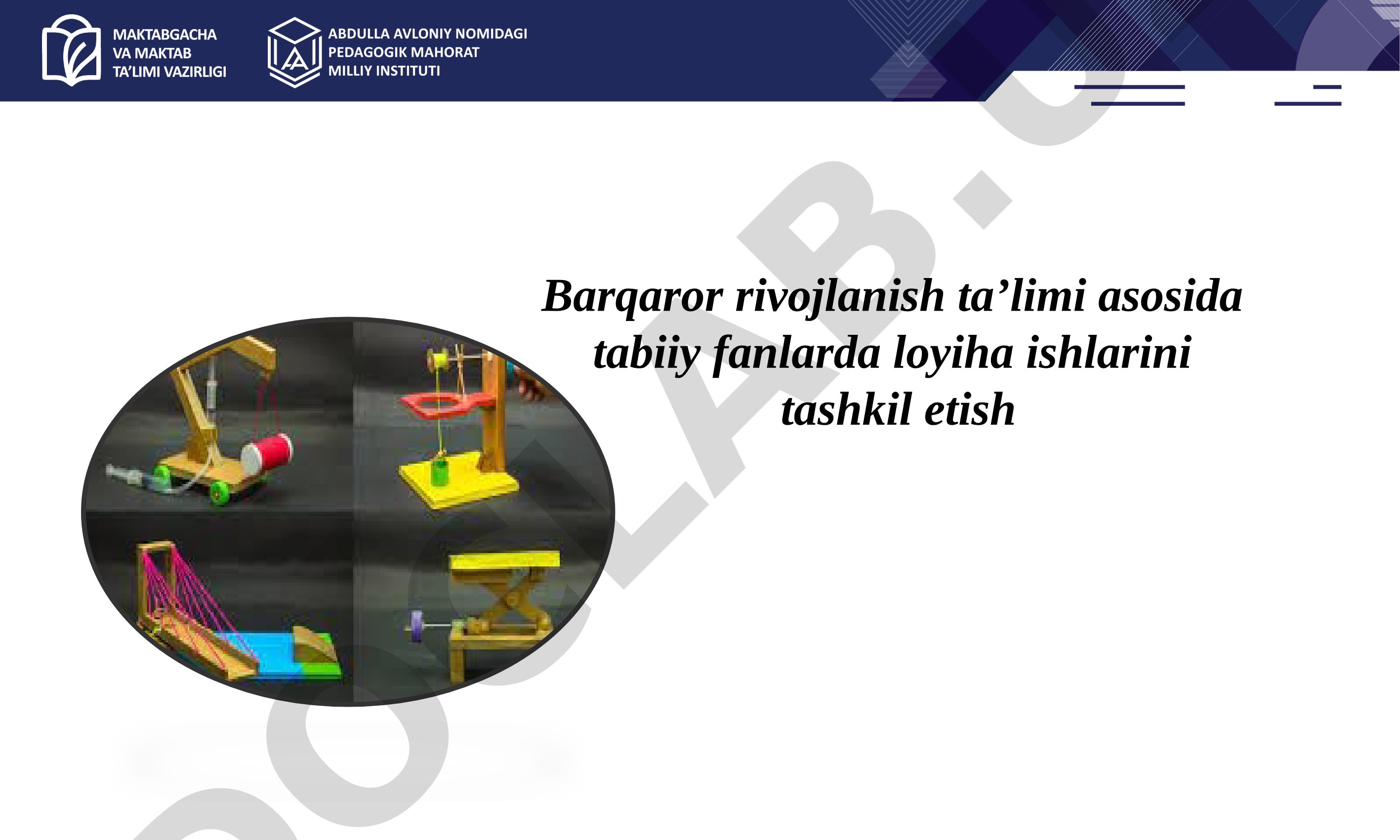 Barqaror rivojlanish ta’limi asosida tabiiy fanlarda loyiha ishlarini tashkil etish