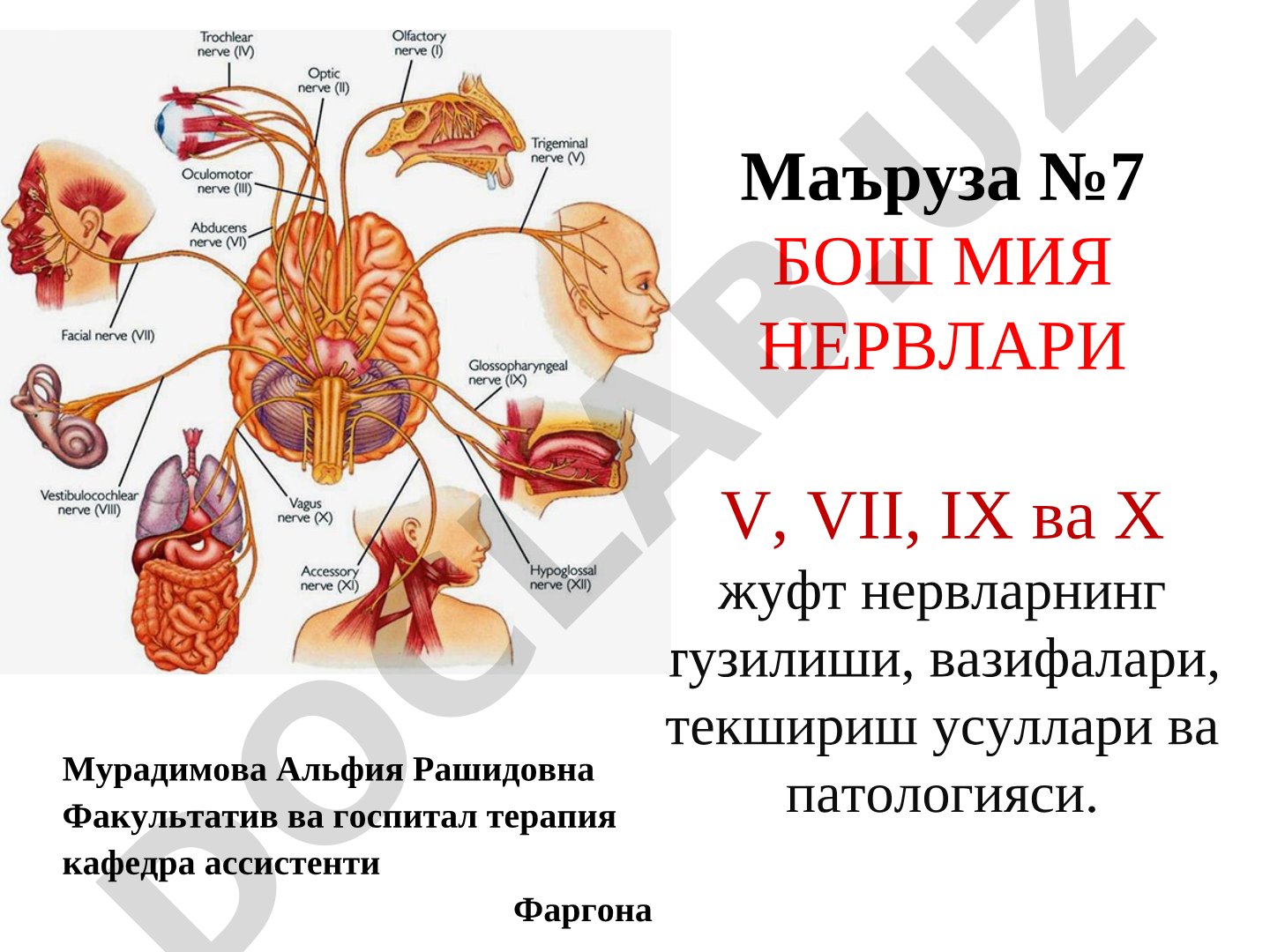 Бош мия нервлари V, VII, IX ва X жуфт нервларнинг тузилиши, вазифалари, текшириш усуллари ва патологияси