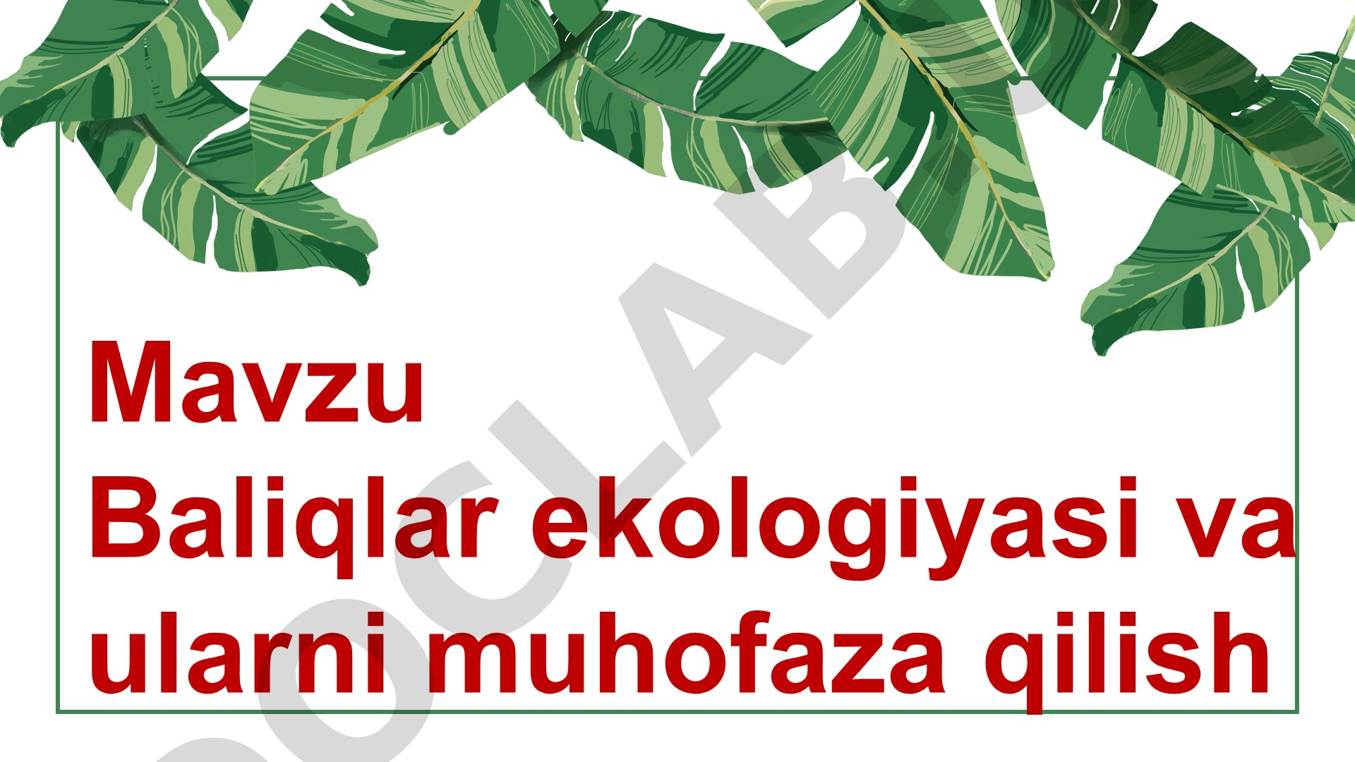 Baliqlar ekologiyasi va ularni muhofaza qilish