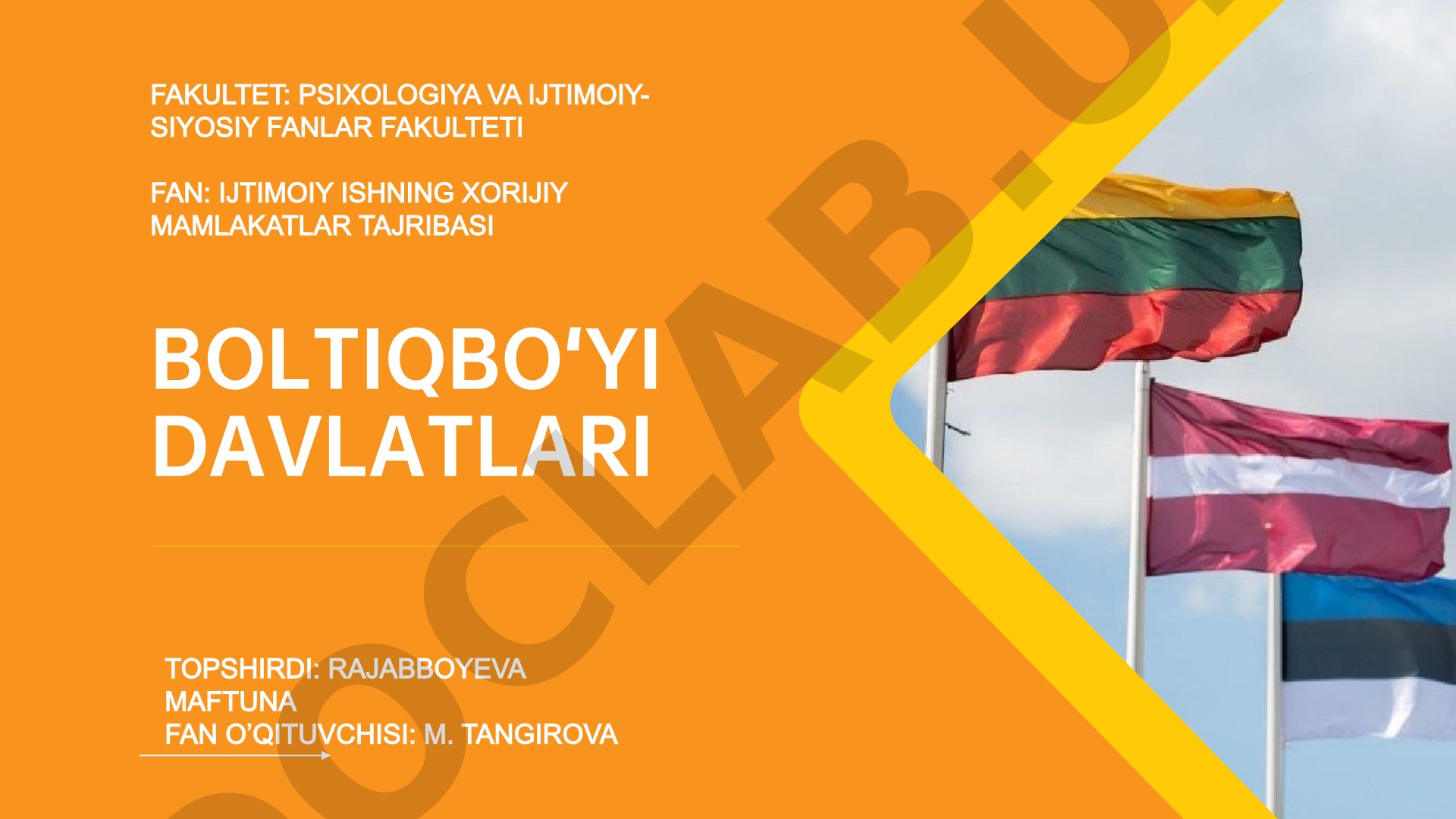 Boltiqbo‘yi davlatlarida ijtimoiy ish tajribasi