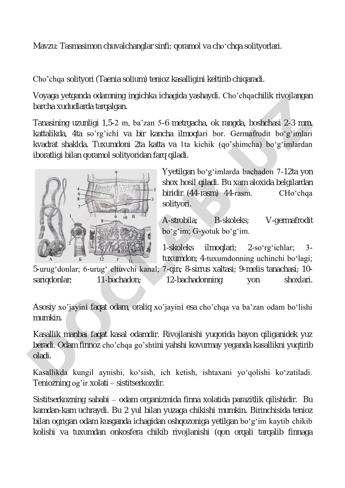 Tasmasimon chuvalchanglar sinfi: qoramol va cho‘chqa solityorlari