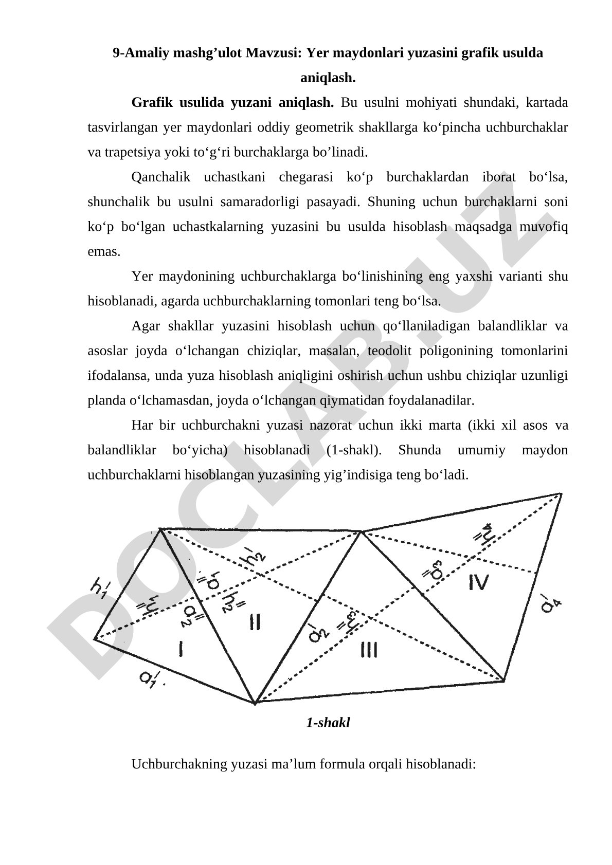 Yer maydonlari yuzasini grafik usulda aniqlash