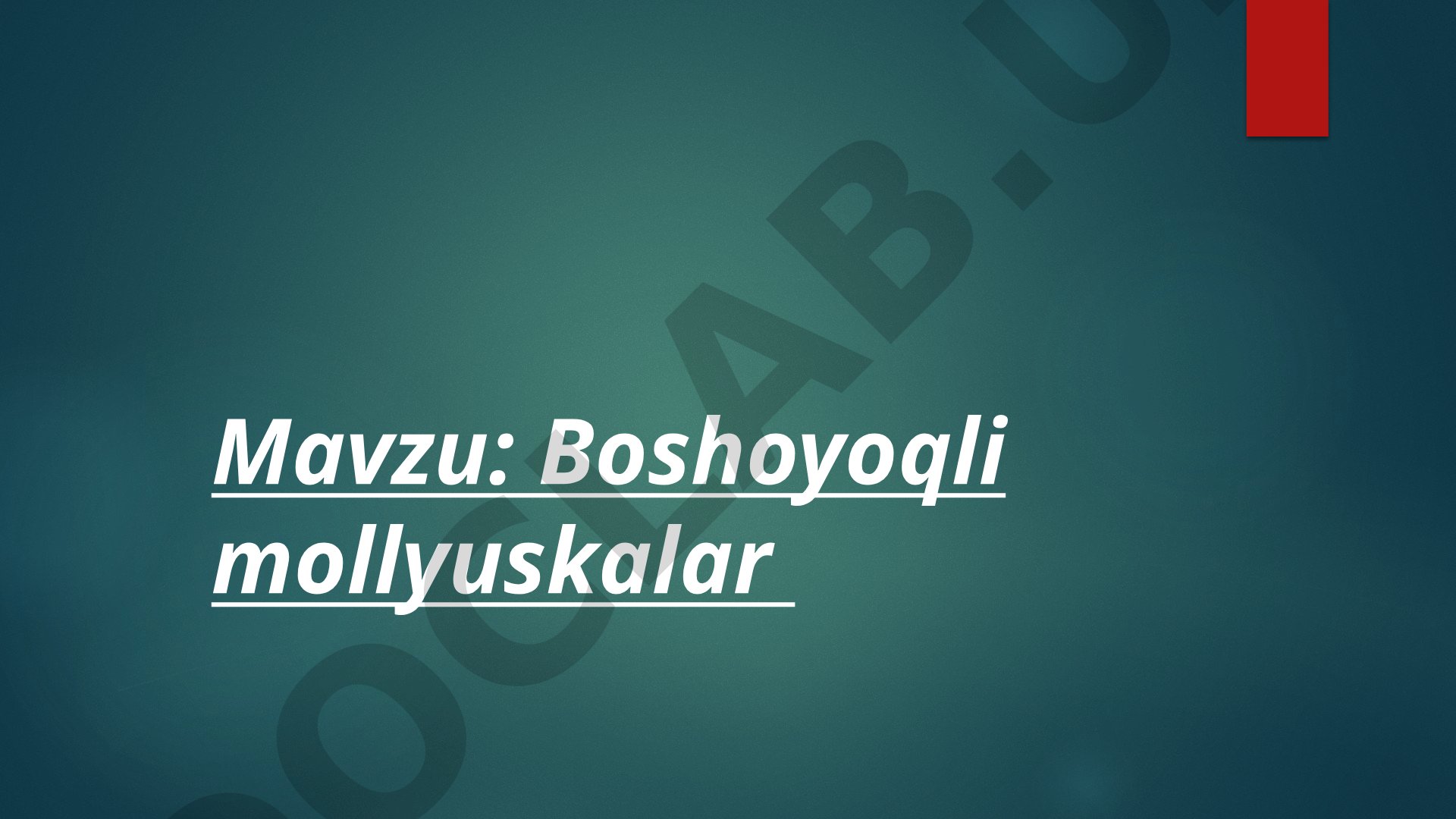 Boshoyoqli mollyuskalar