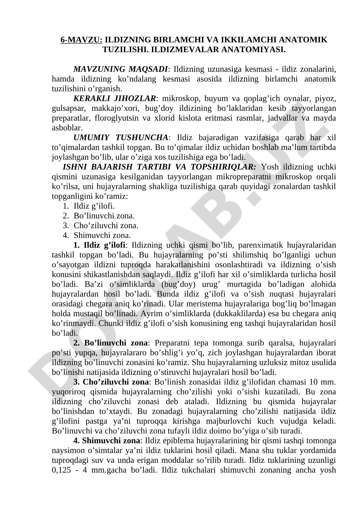 ILDIZNING BIRLAMCHI VA IKKILAMCHI ANATOMIK TUZILISHI. ILDIZMEVALAR ANATOMIYASI.