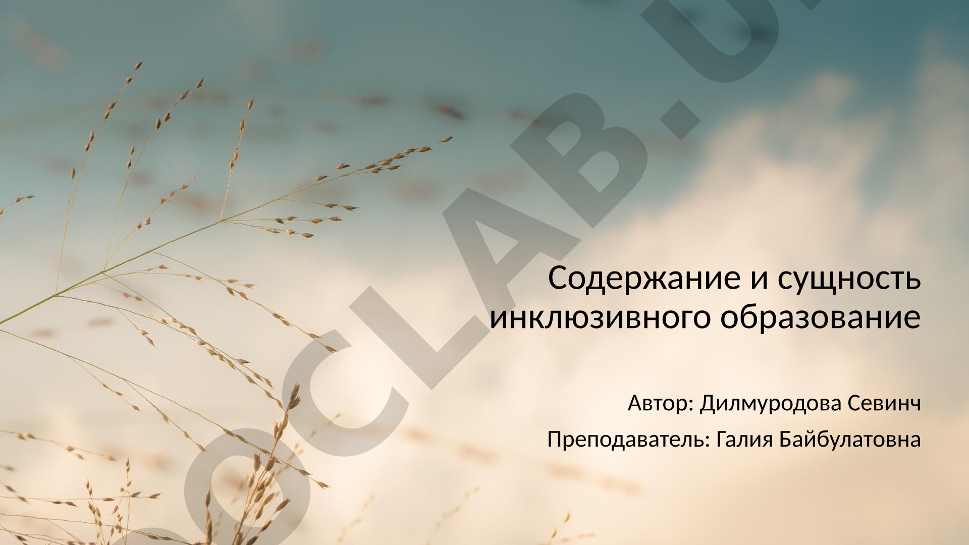 Содержание и сущность инклюзивного образования