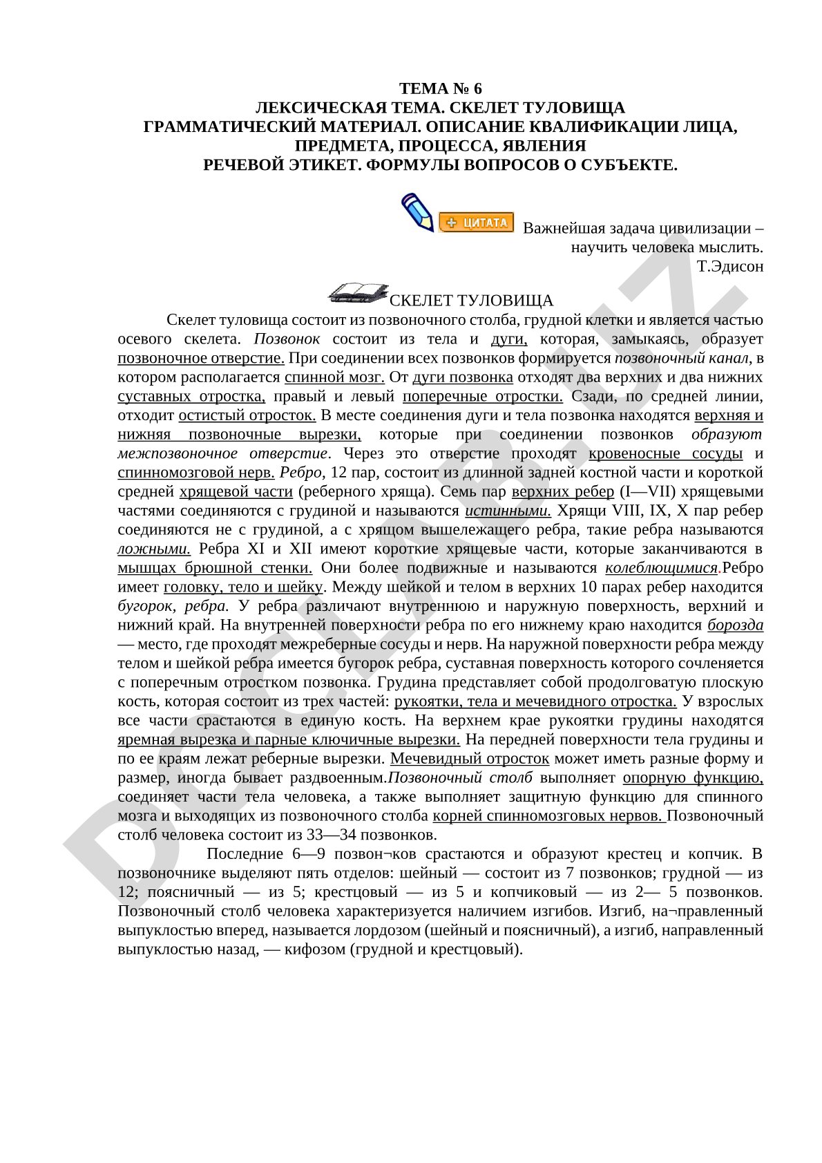 Скелет туловища