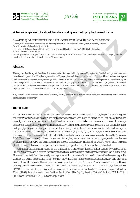 A linear sequence of extant families and genera of lycophytes and ferns
