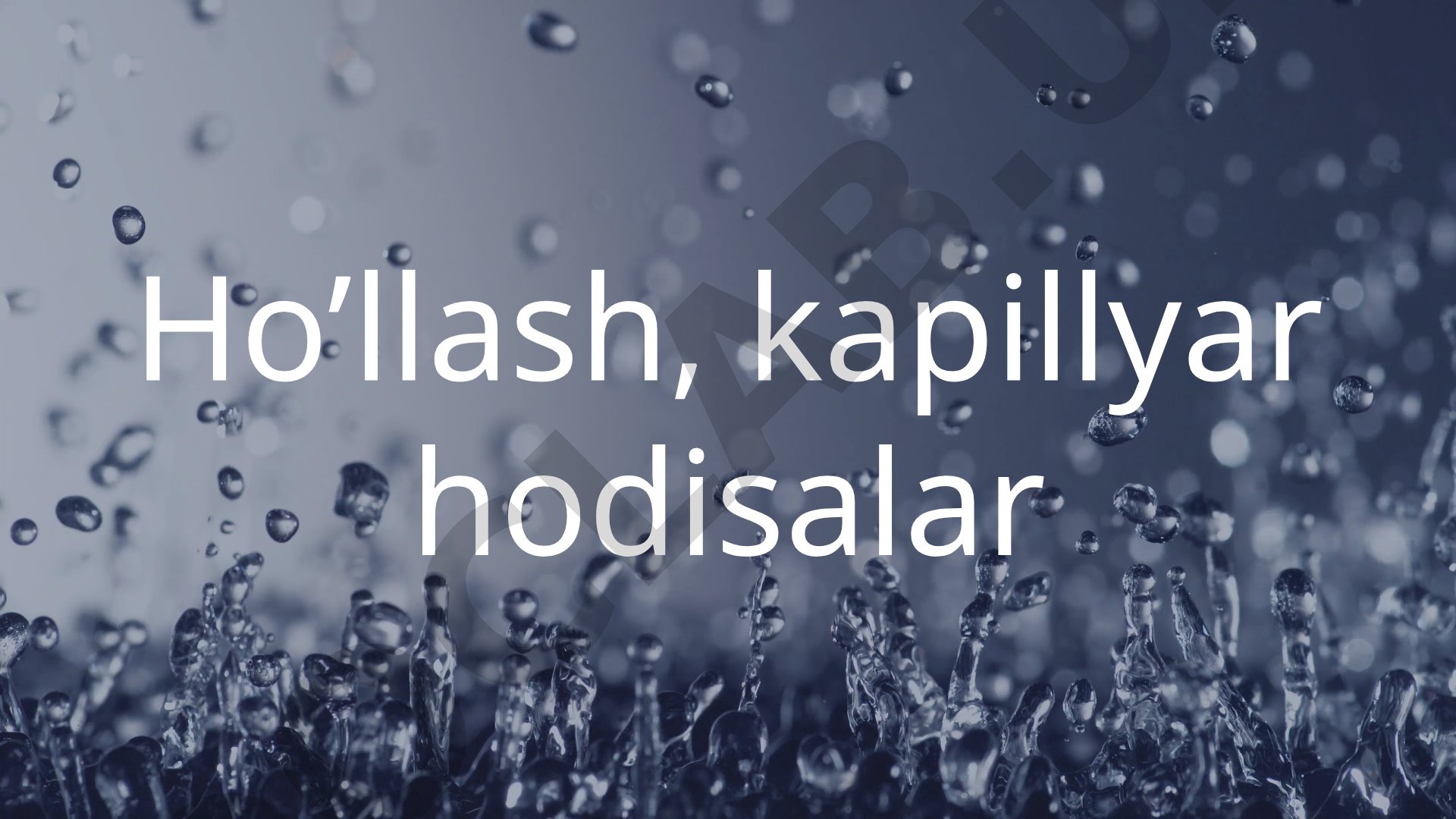 Ho'llash va kapillyar hodisalar