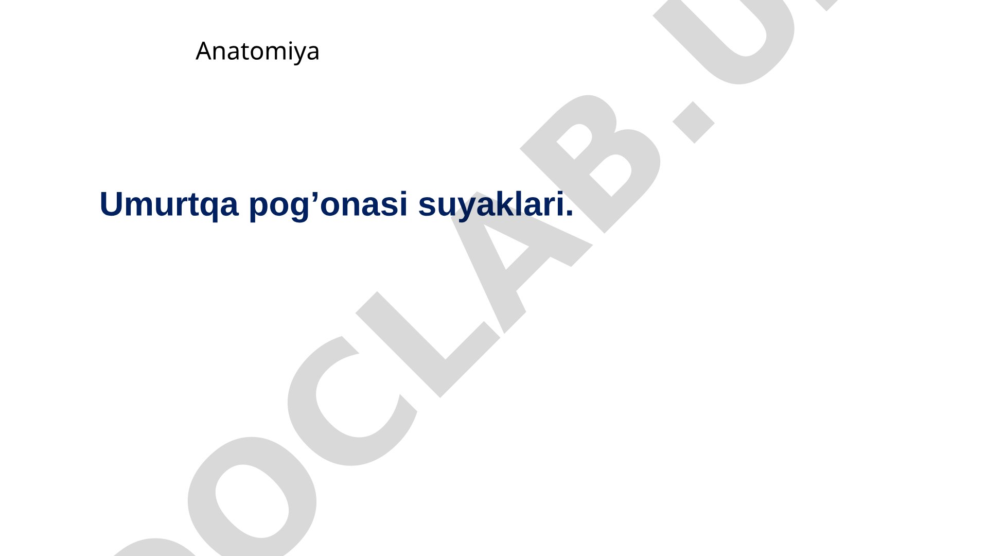 Umurtqa pog‘onasi suyaklari anatomiyasi