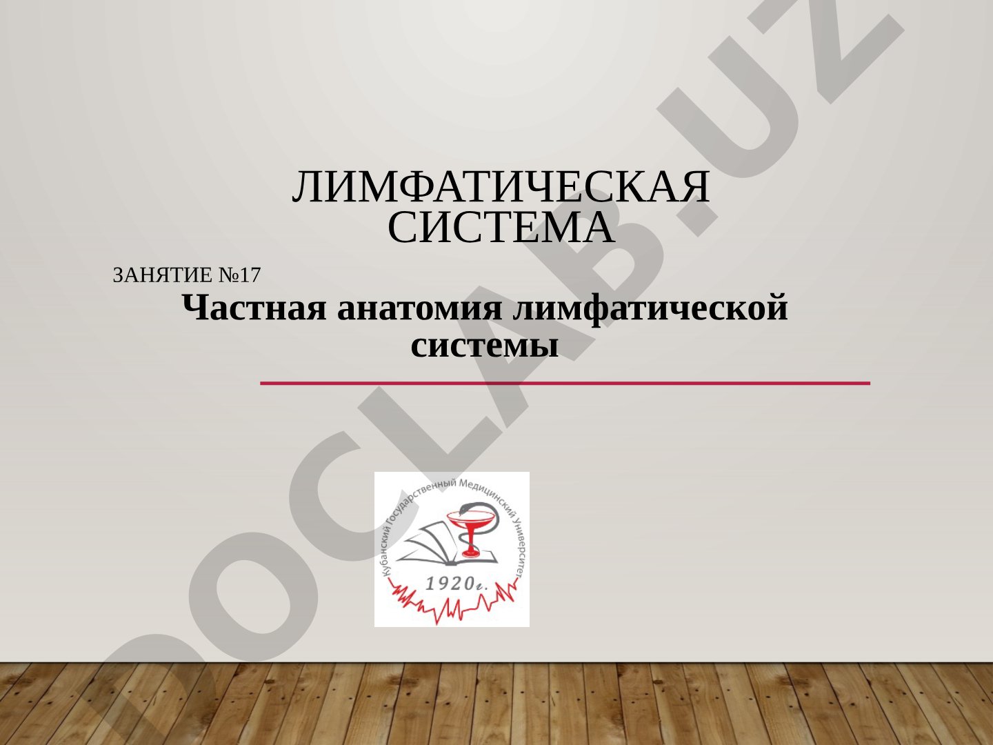 Частная анатомия лимфатической системы
