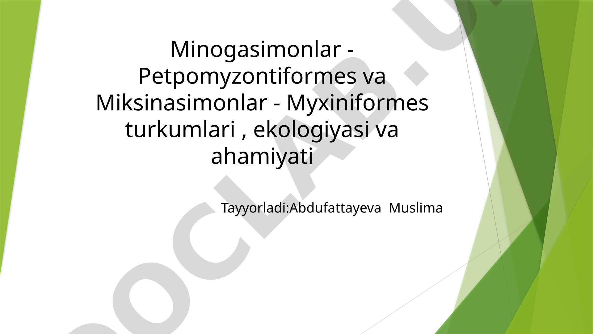 Minogasimonlar - Petpomyzontiformes va Miksinasimonlar - Myxiniformes turkumlari, ekologiyasi va ahamiyati