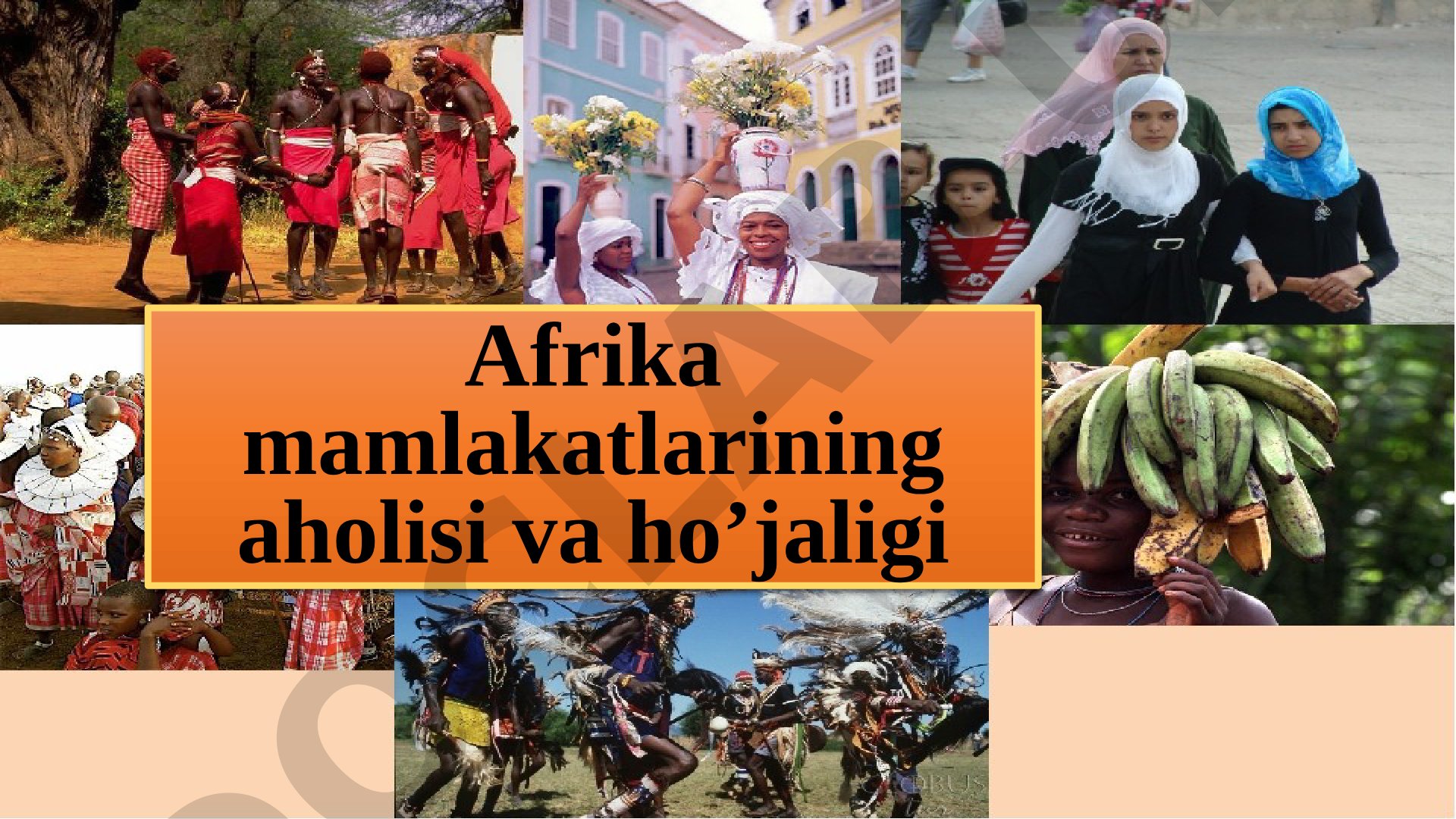Afrika mamlakatlarining aholisi va ho’jaligi