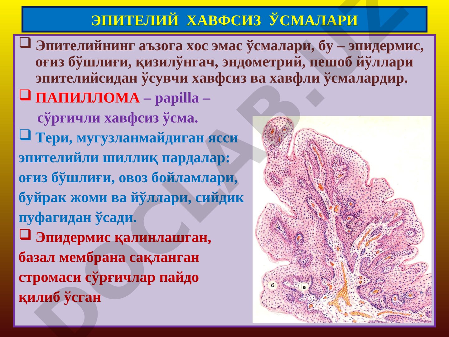 Эпителий хавфсиз ўсмалари