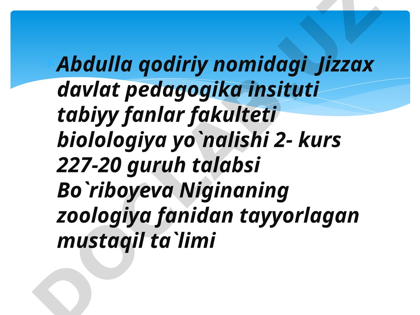 Suralay g'oz (Tadorna tadorna)
