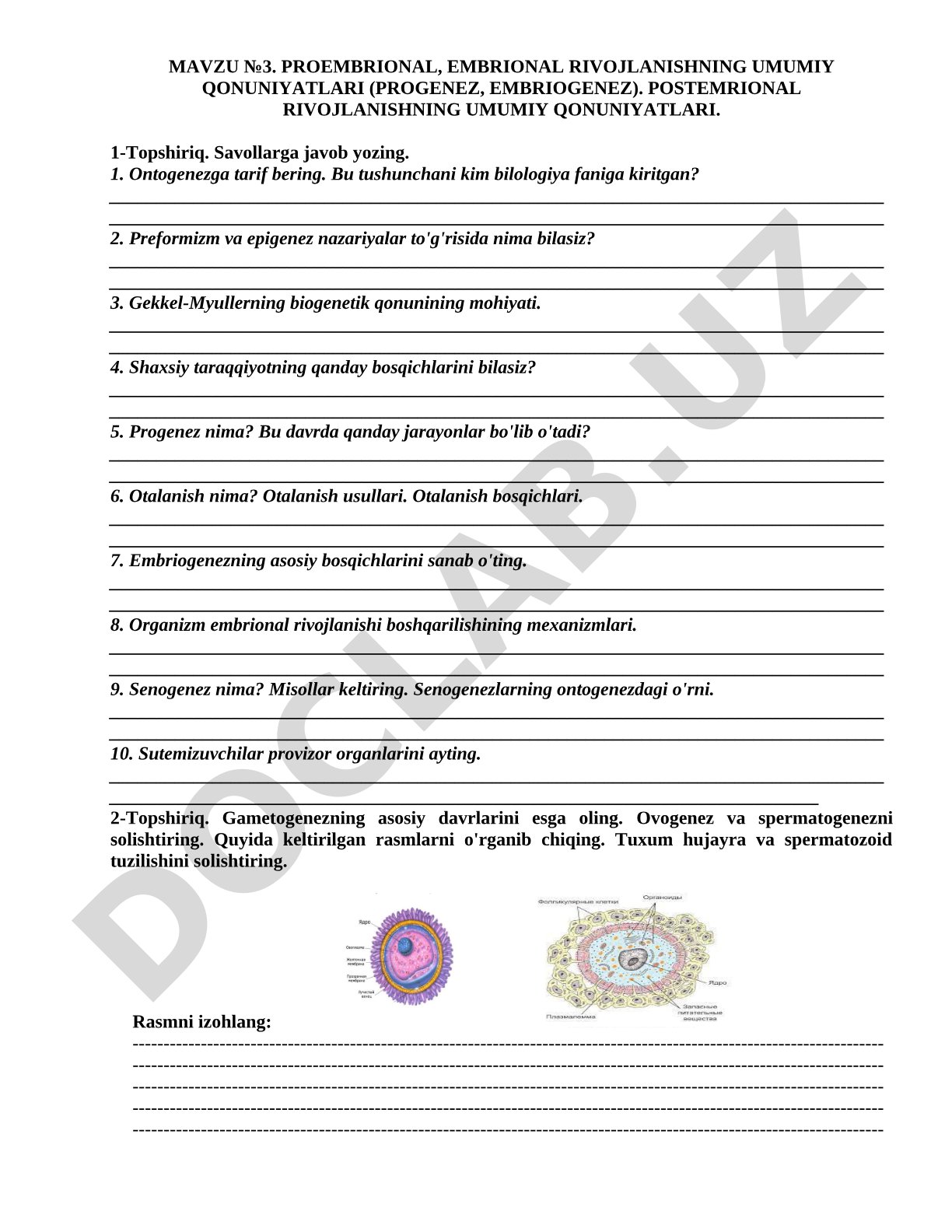 Proembrional, embrional rivojlanishning umumiy qonuniyatlari (progenez, embriogenez). Postemrional rivojlanishning umumiy qonuniyatlari.