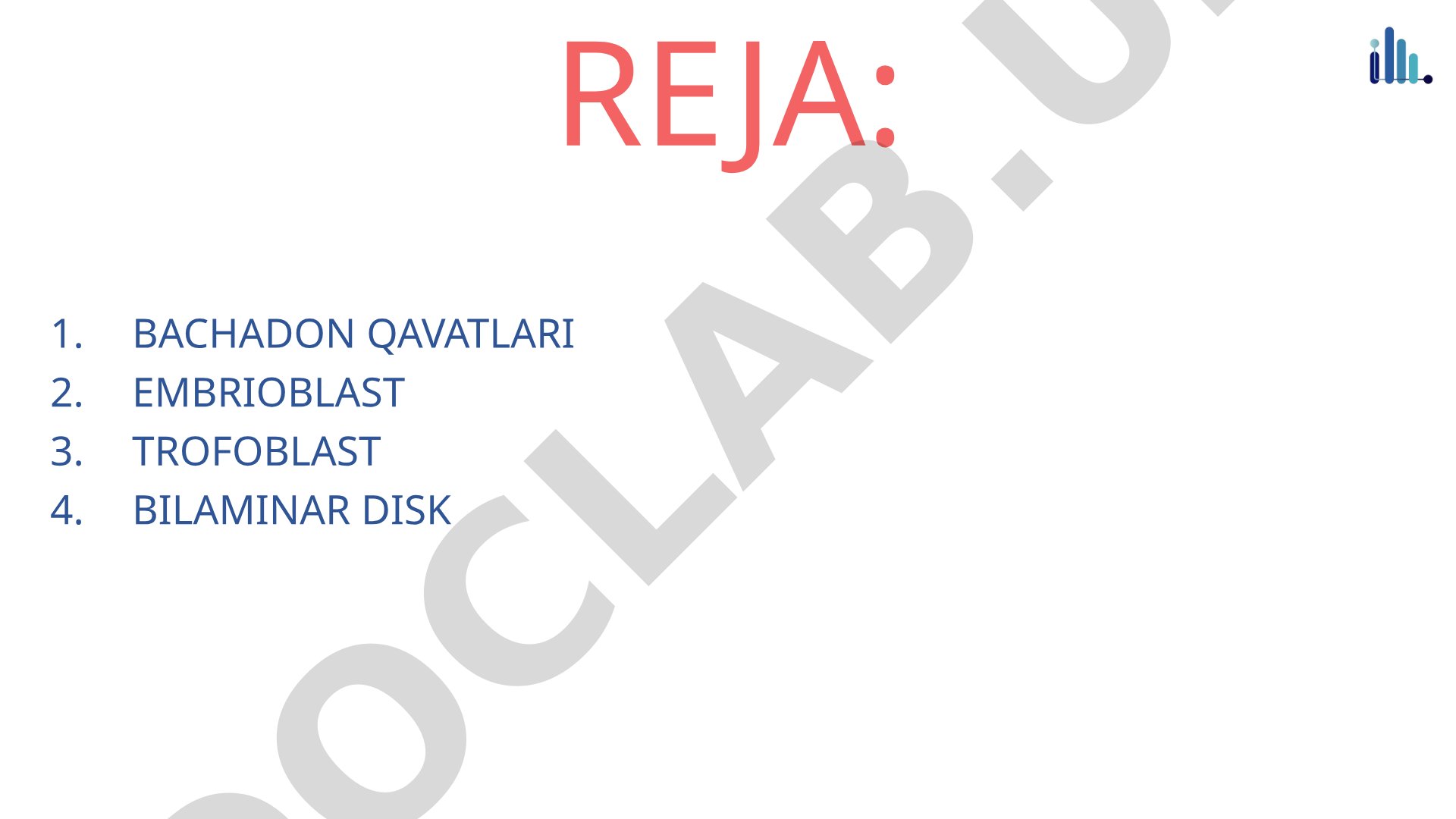Bachadon qavatlari va embrioblast rivojlanishi