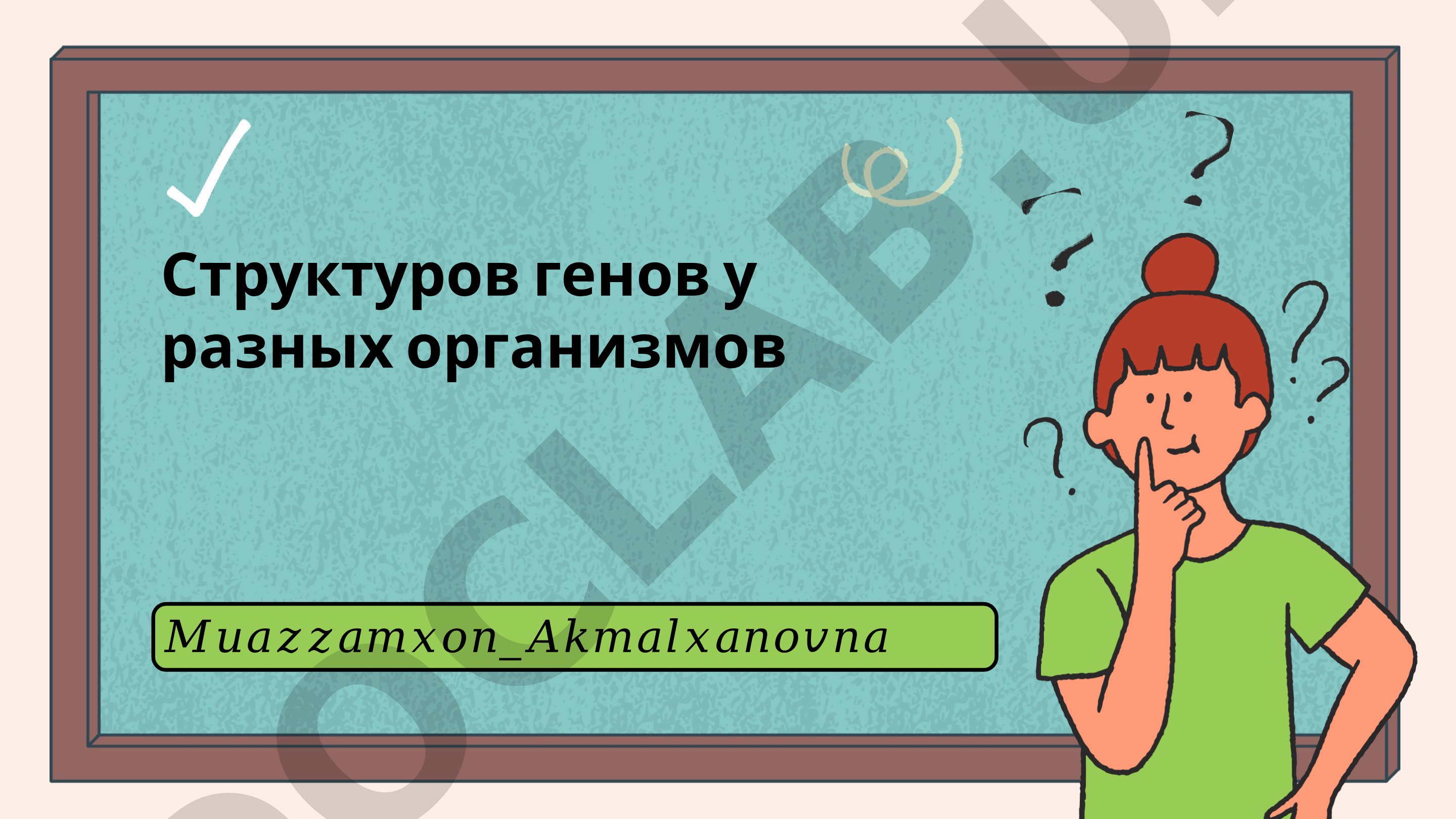 Структуров генов у разных организмов