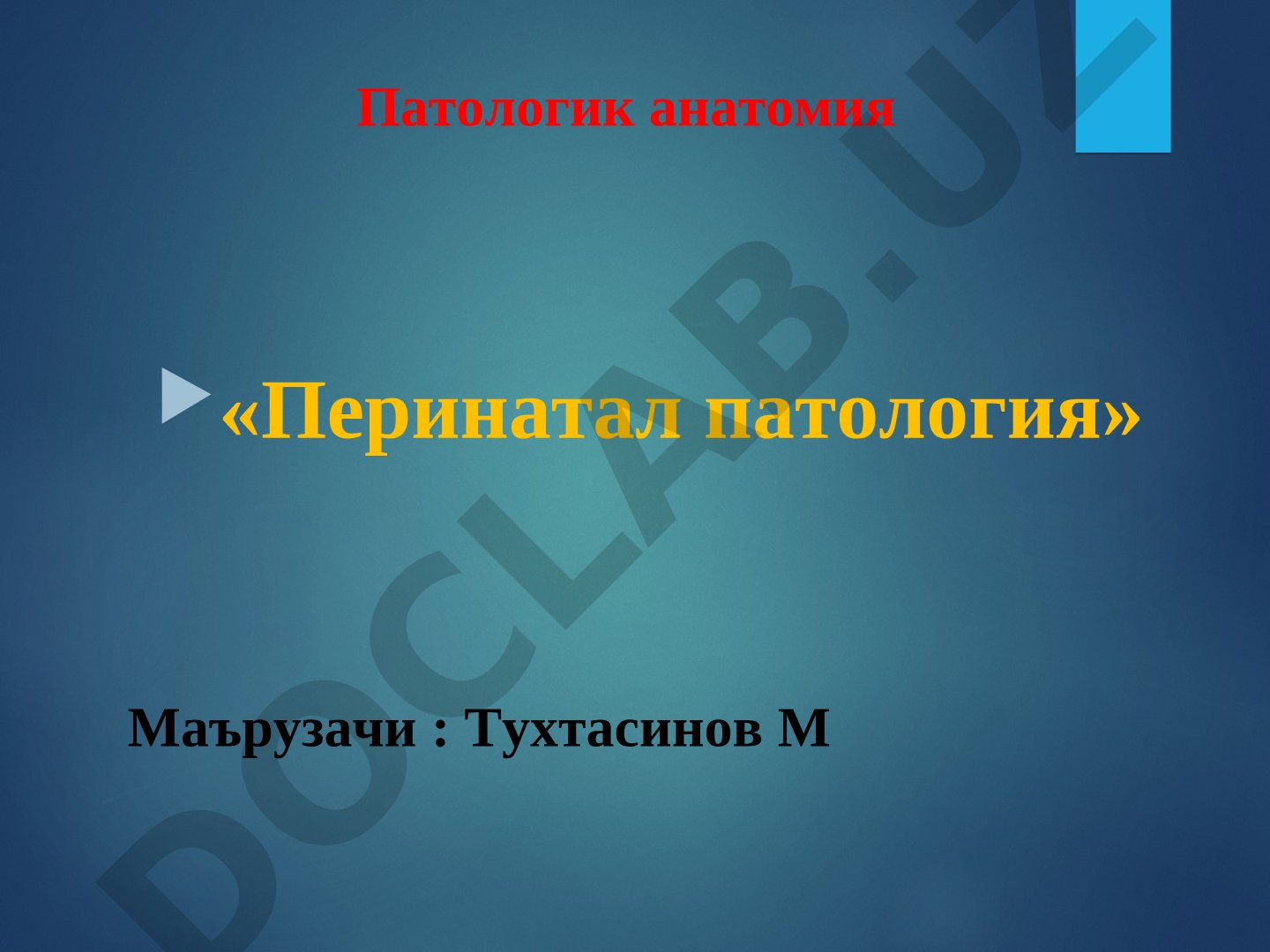 Перинатал патология