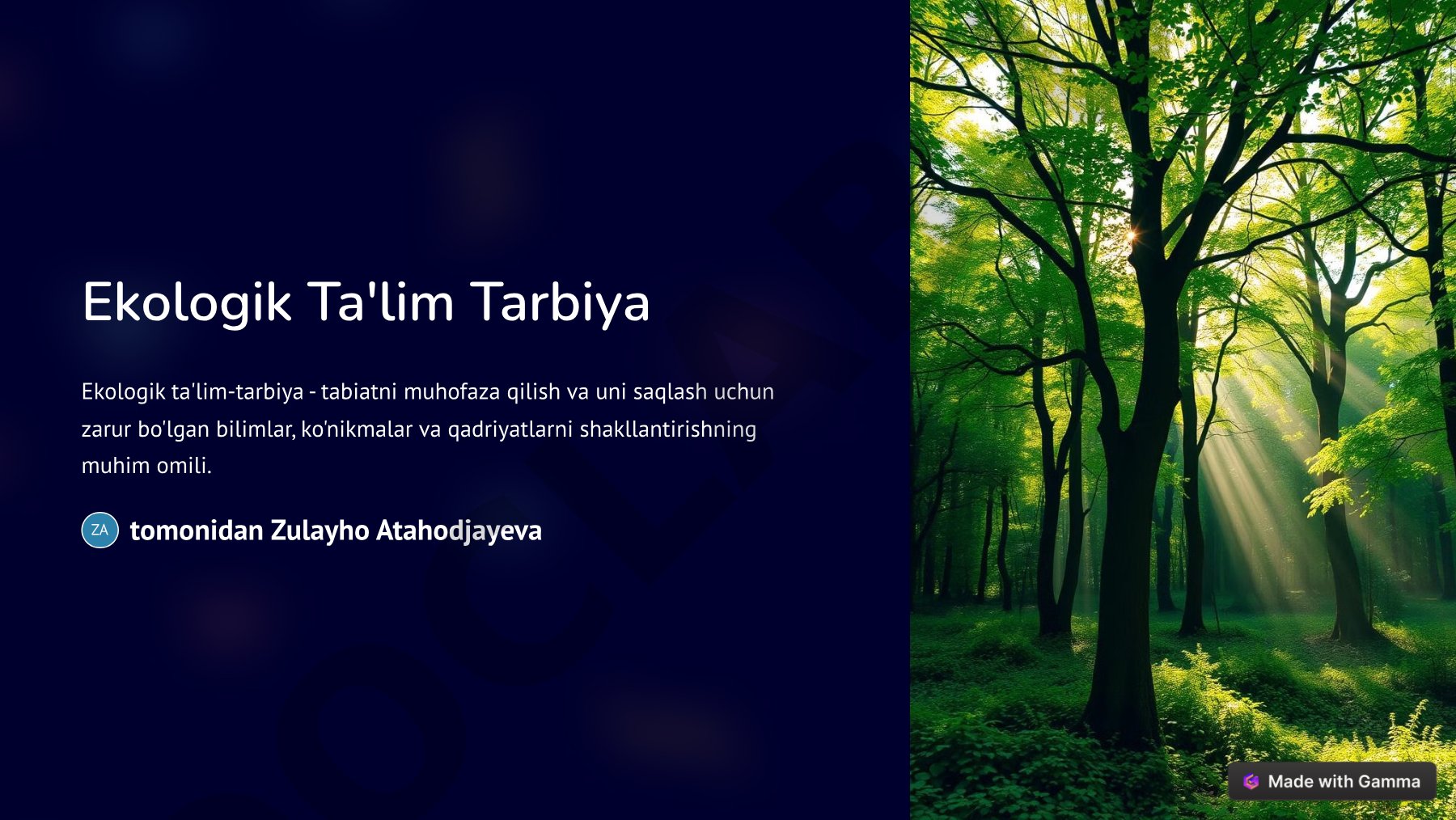 Ekologik ta'lim-tarbiya va ekologik muammolar